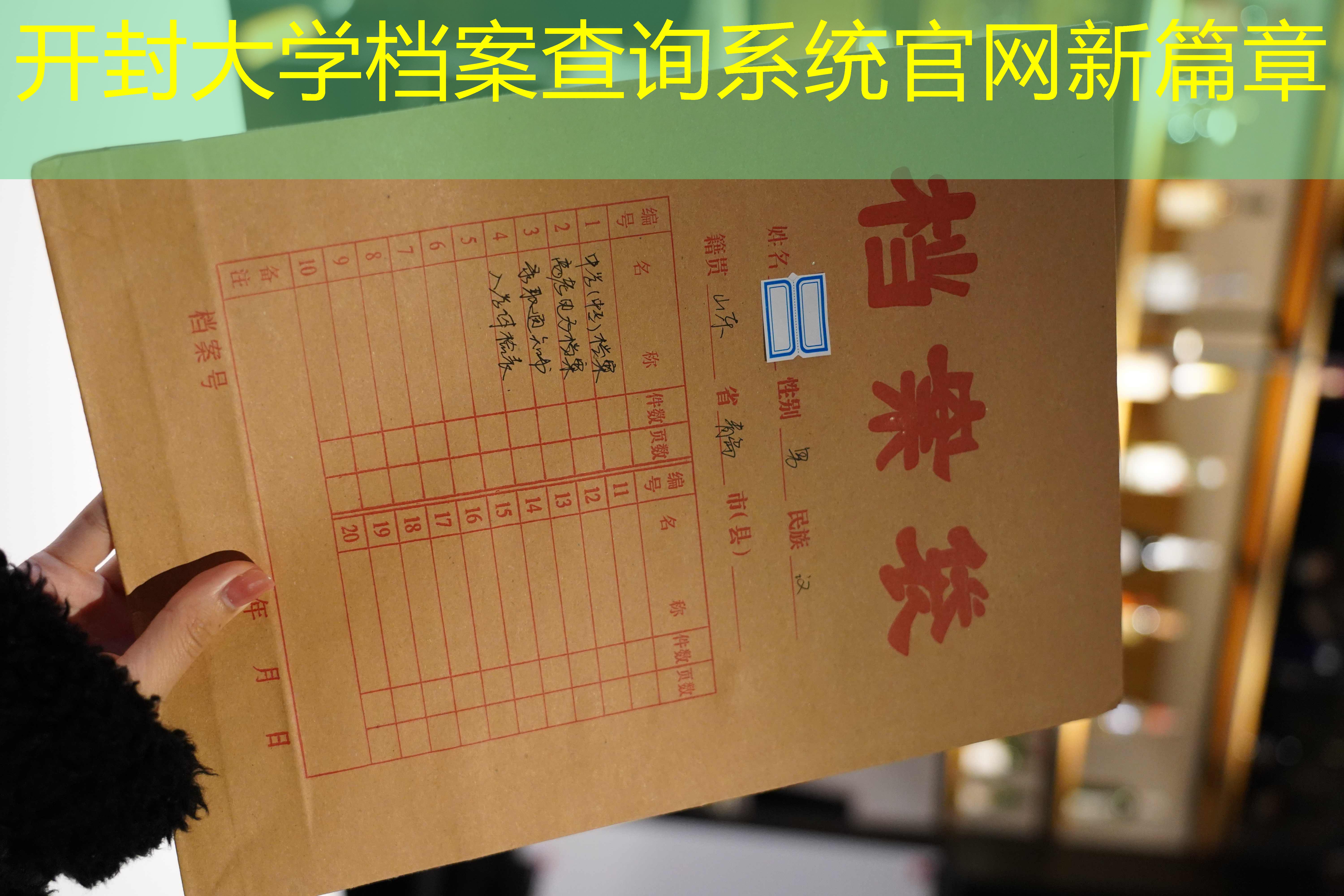 档案查询