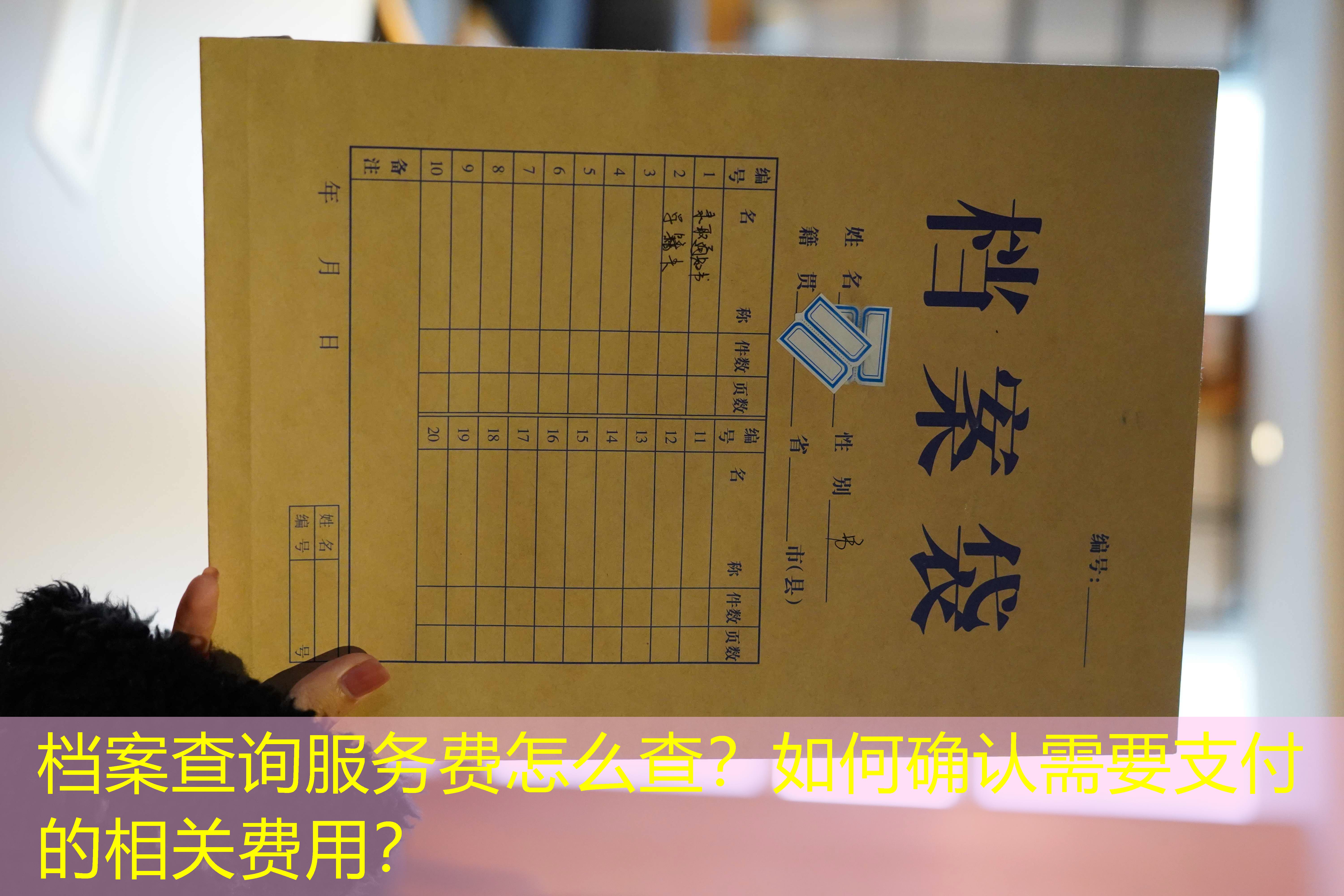档案查询