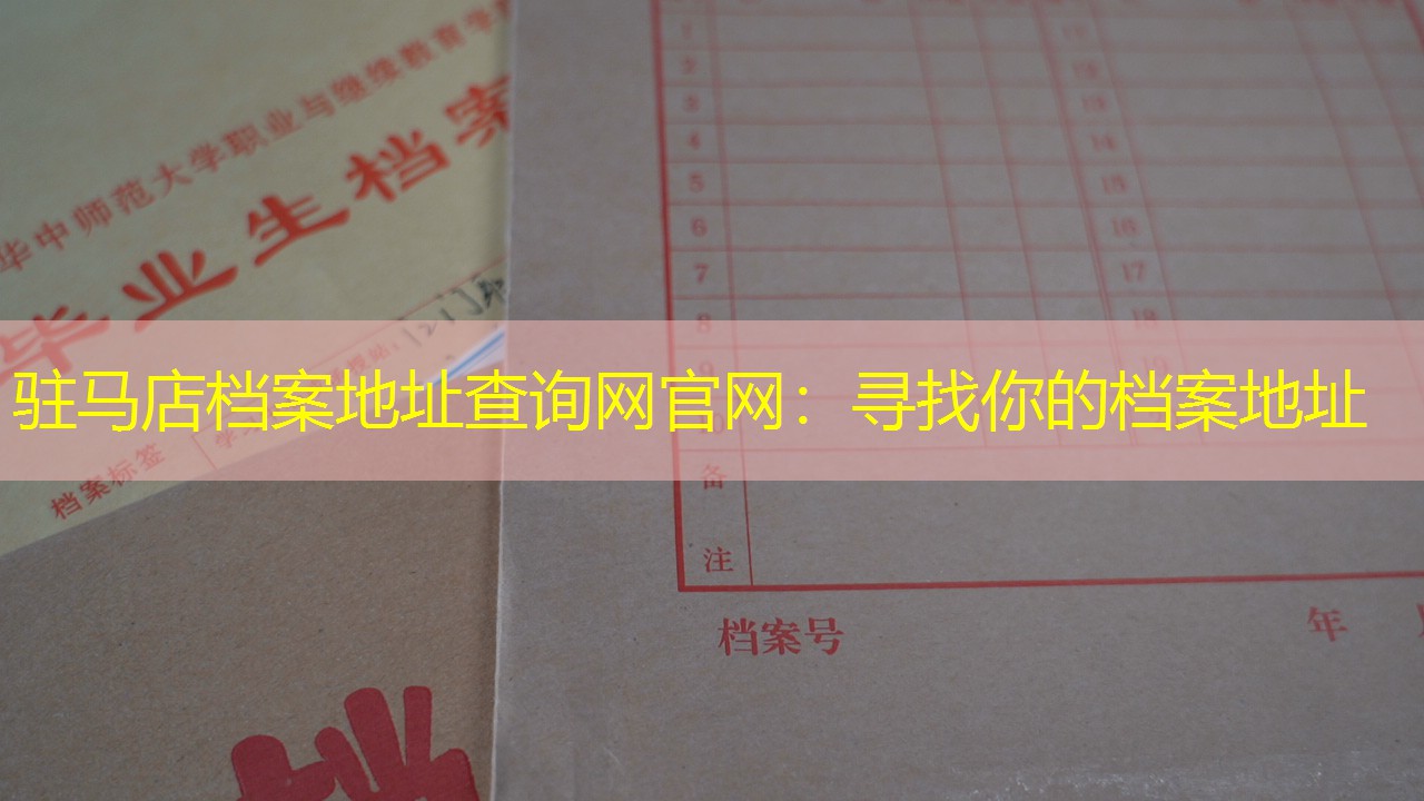 档案查询