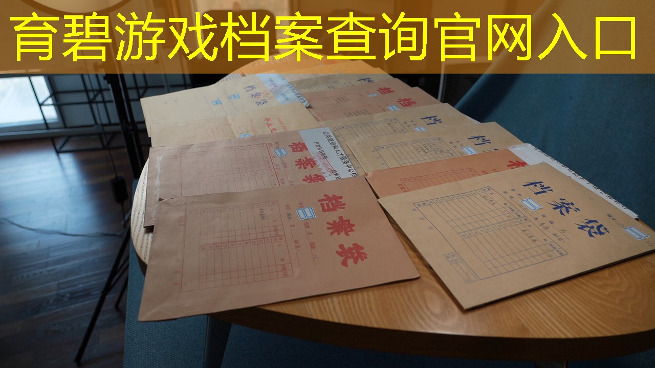 档案查询