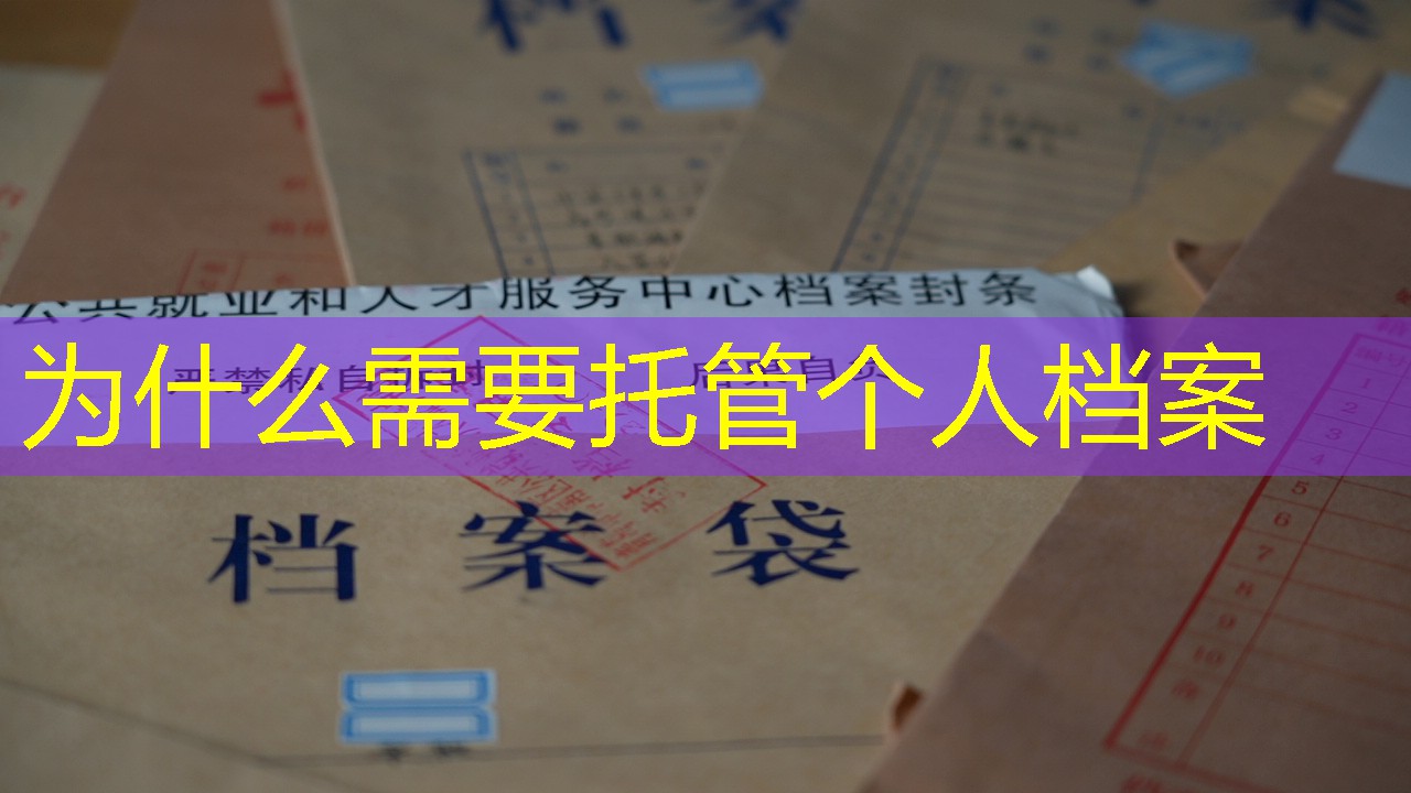 档案查询