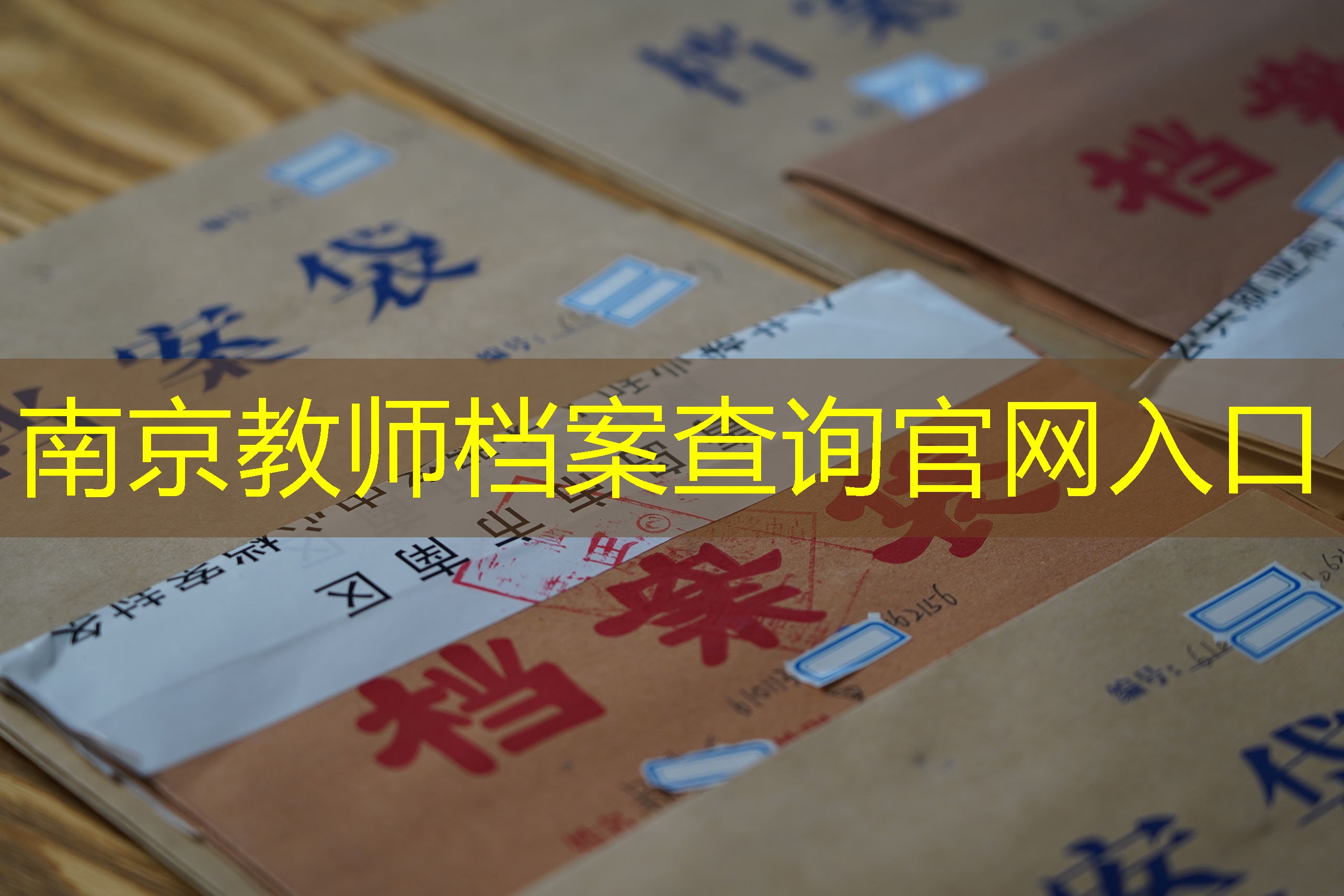 档案查询