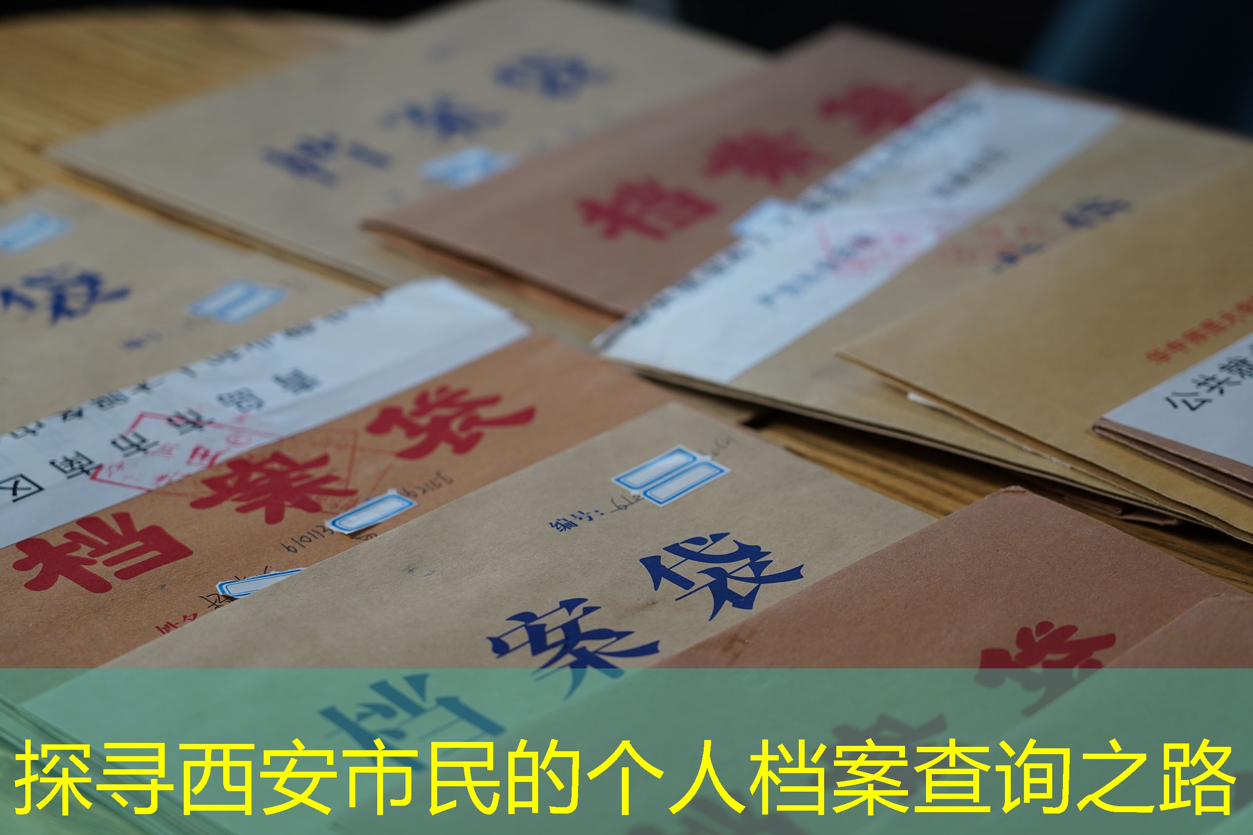 档案查询