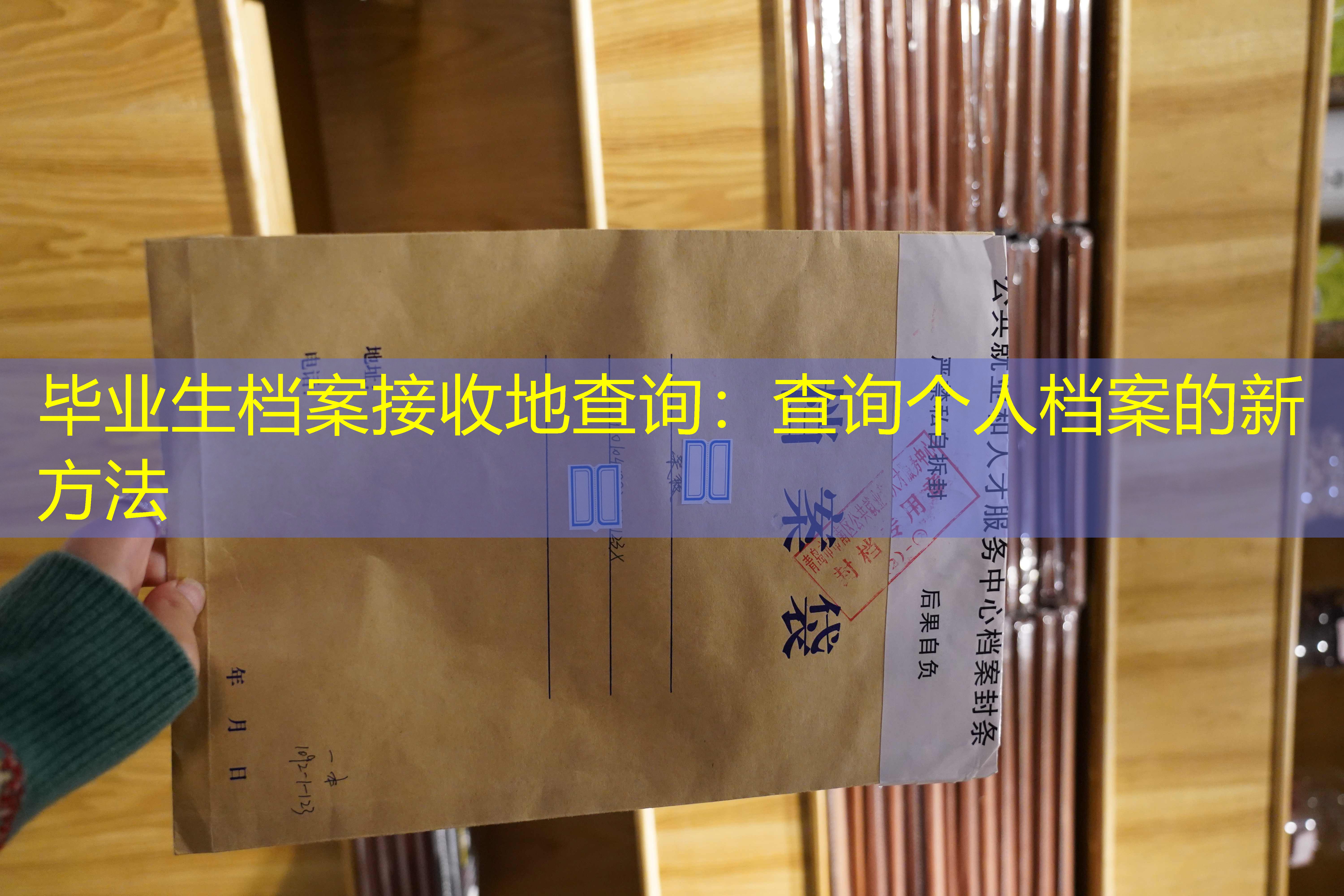 档案查询