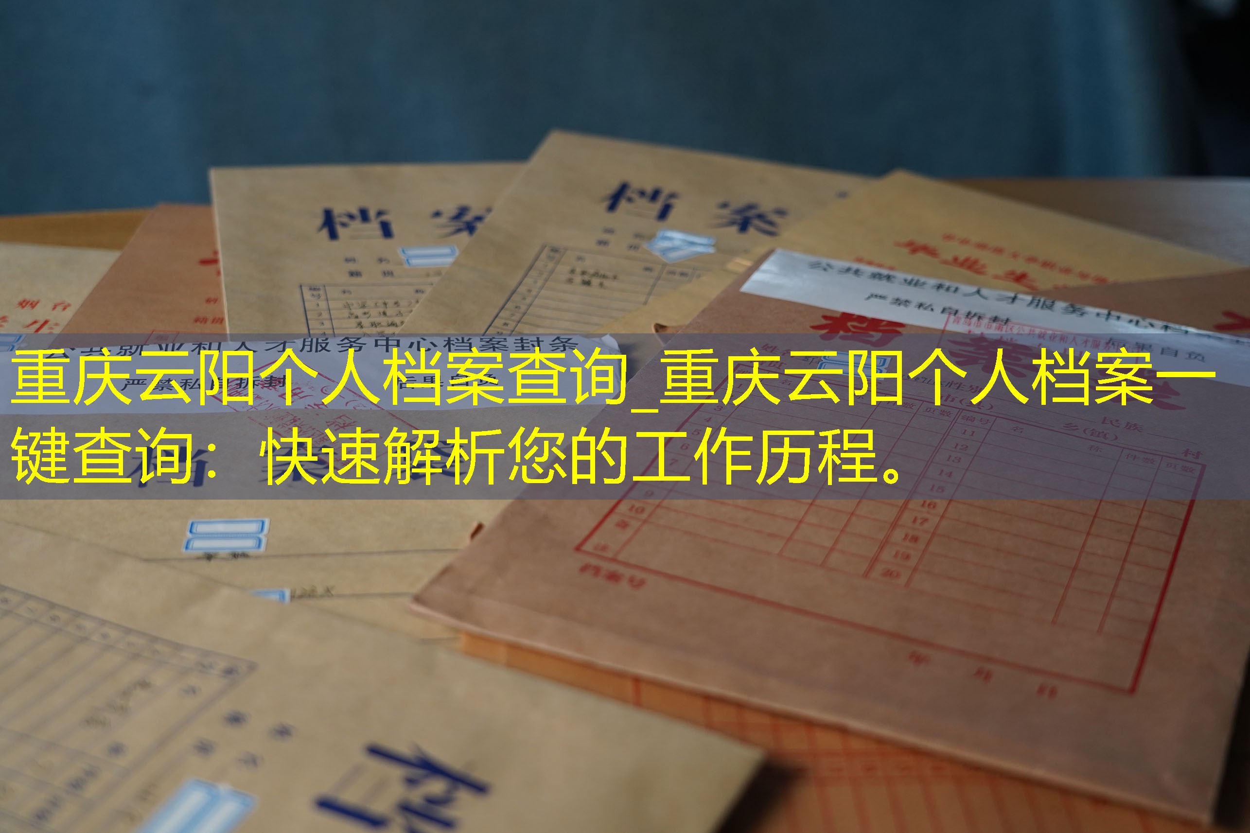 档案查询