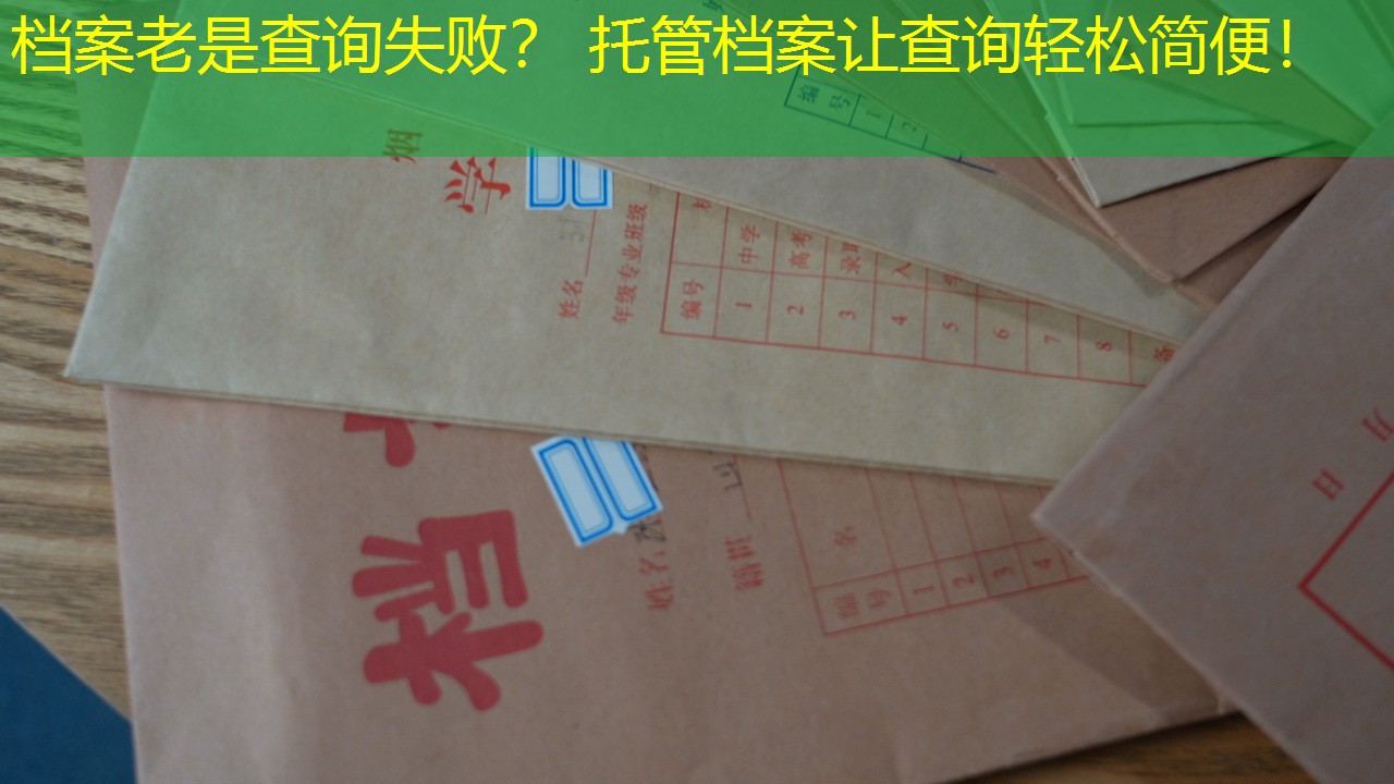 档案查询
