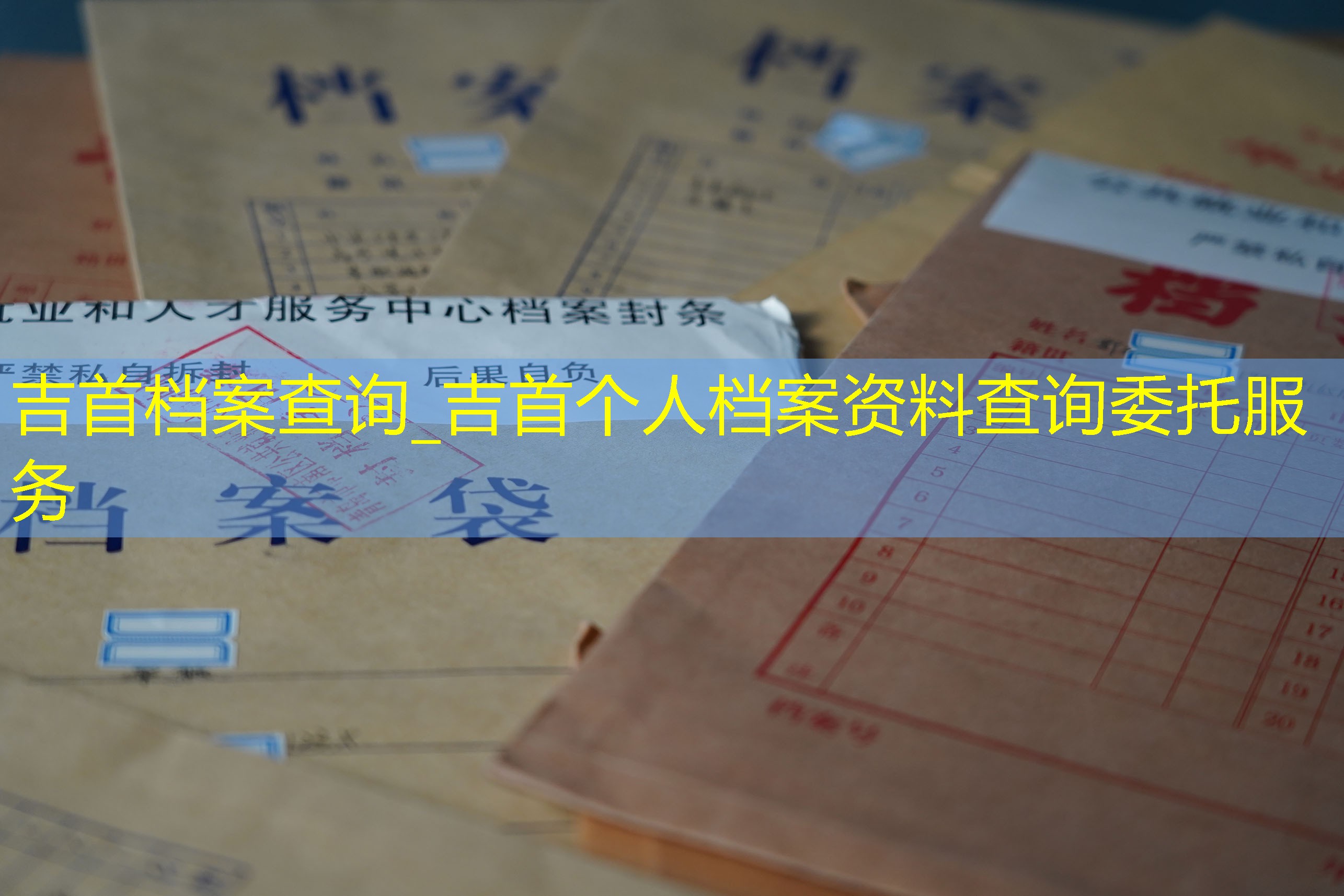 档案查询