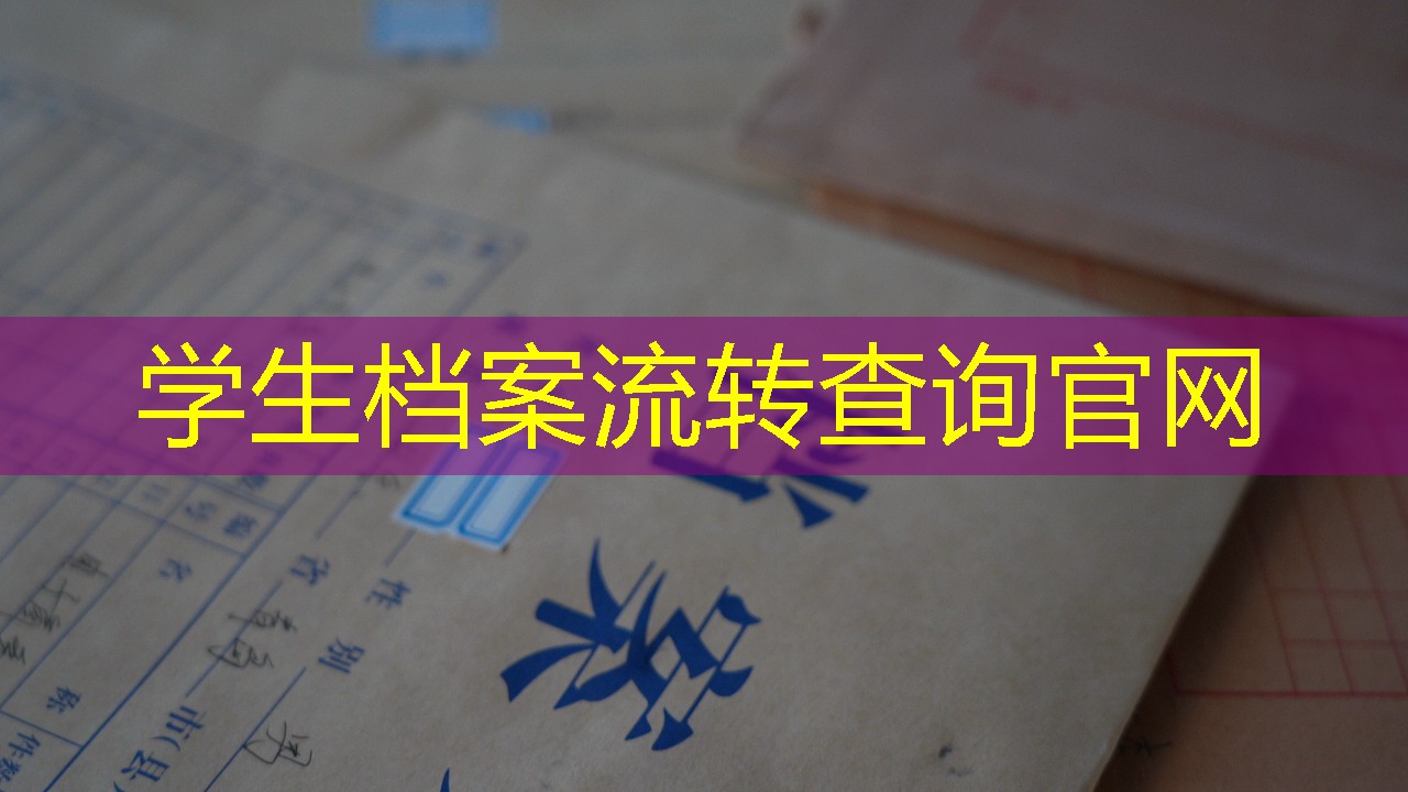 档案查询