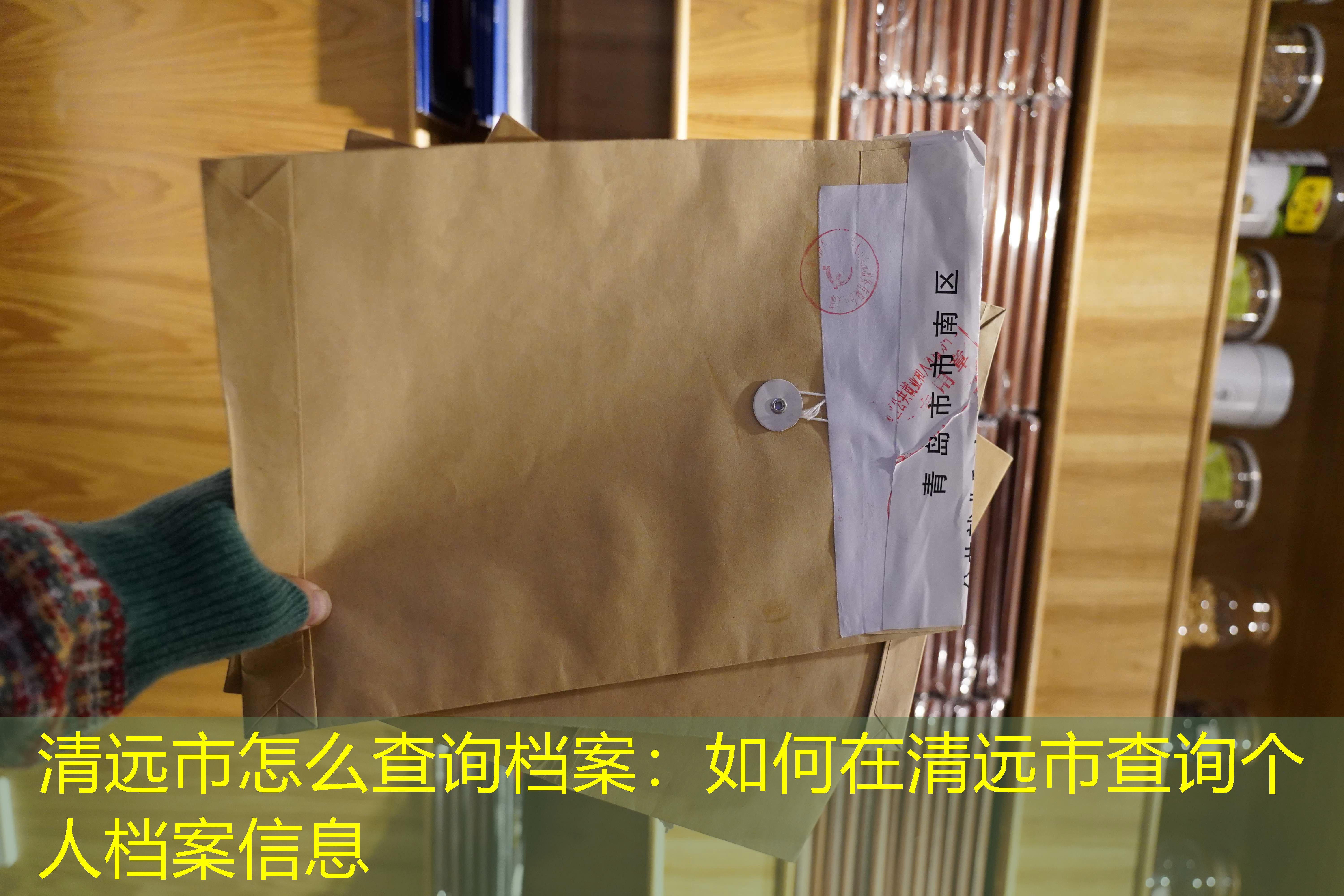 档案查询