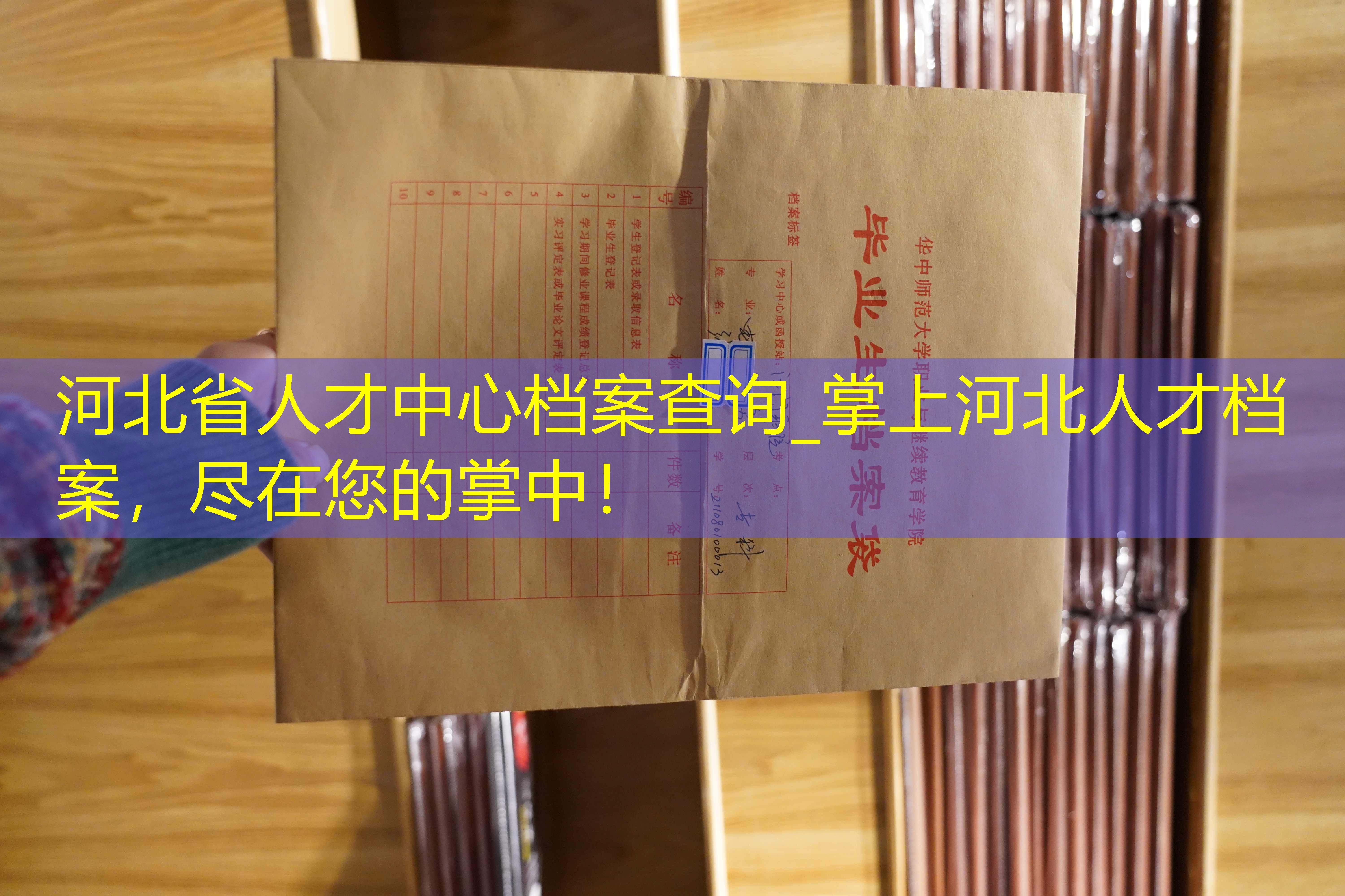 档案查询