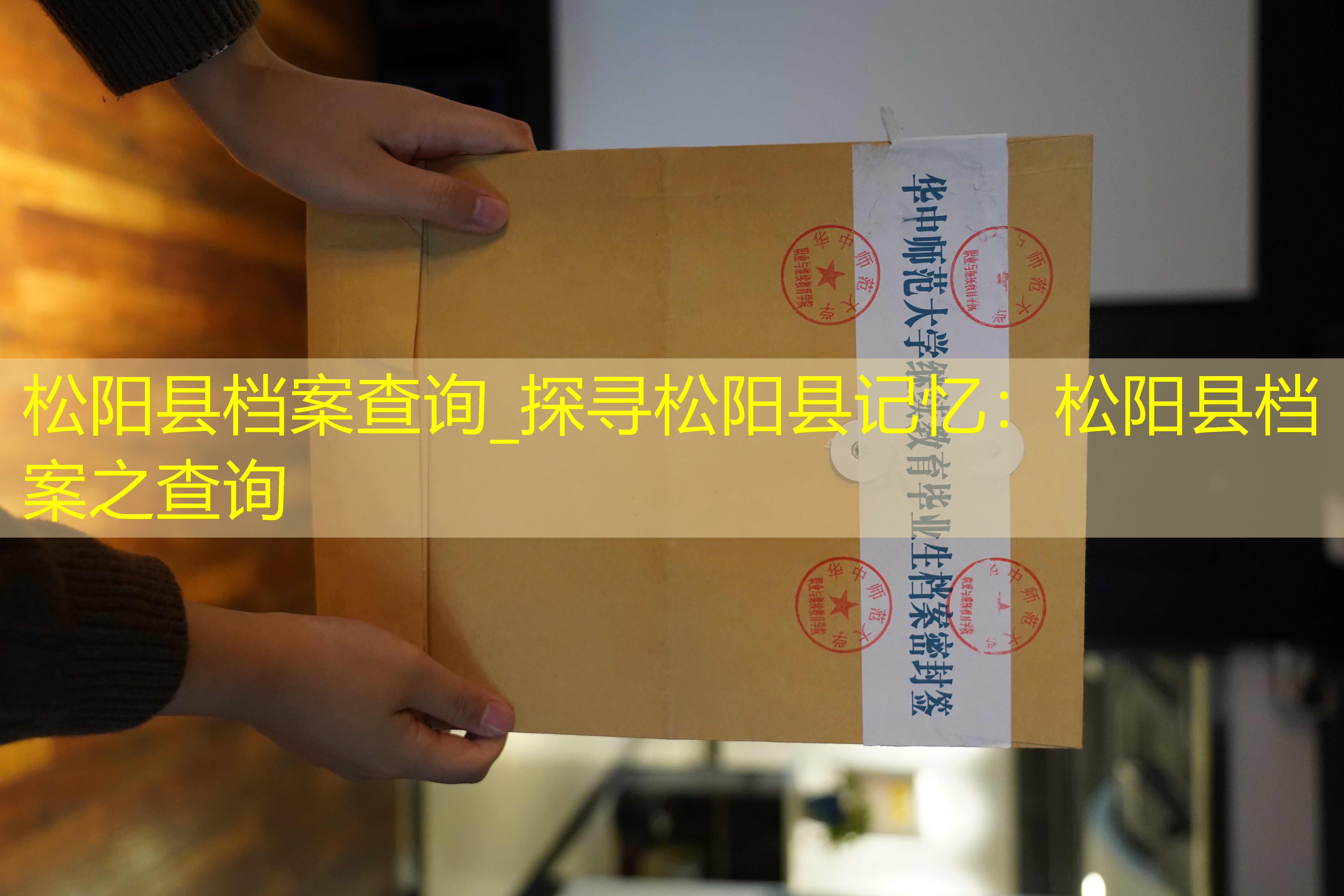 档案查询