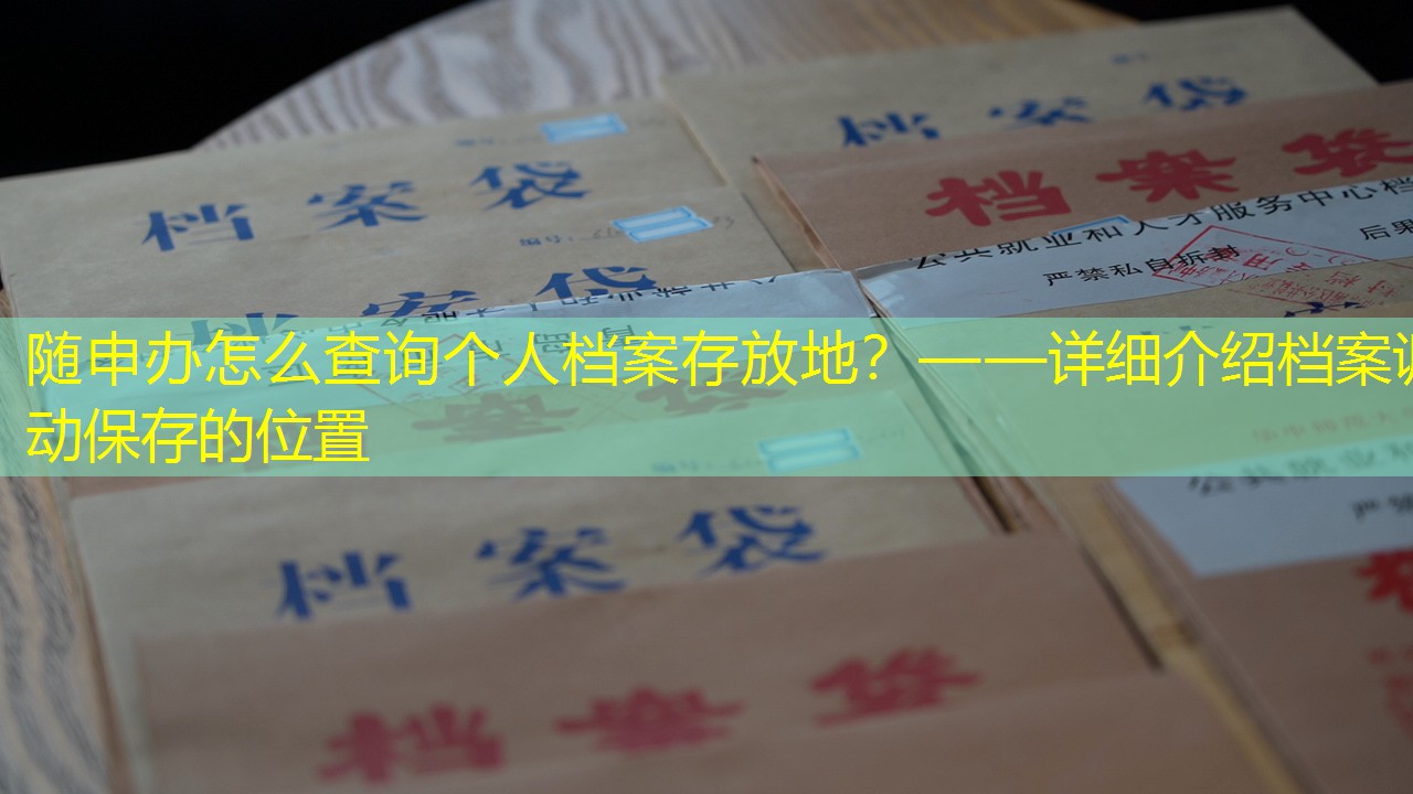 档案查询