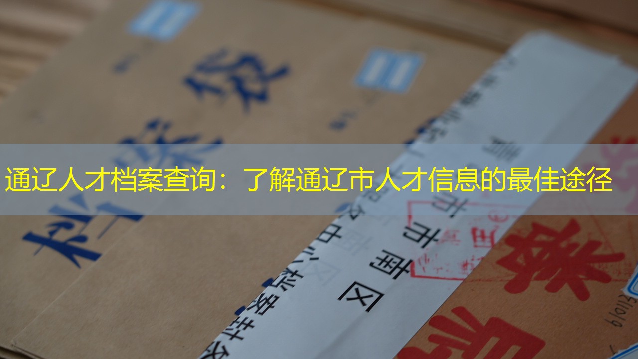 档案查询