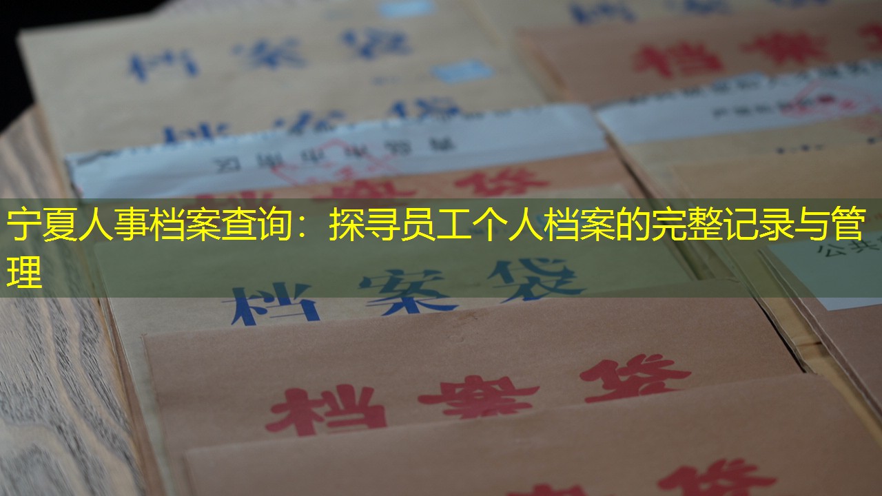 档案查询
