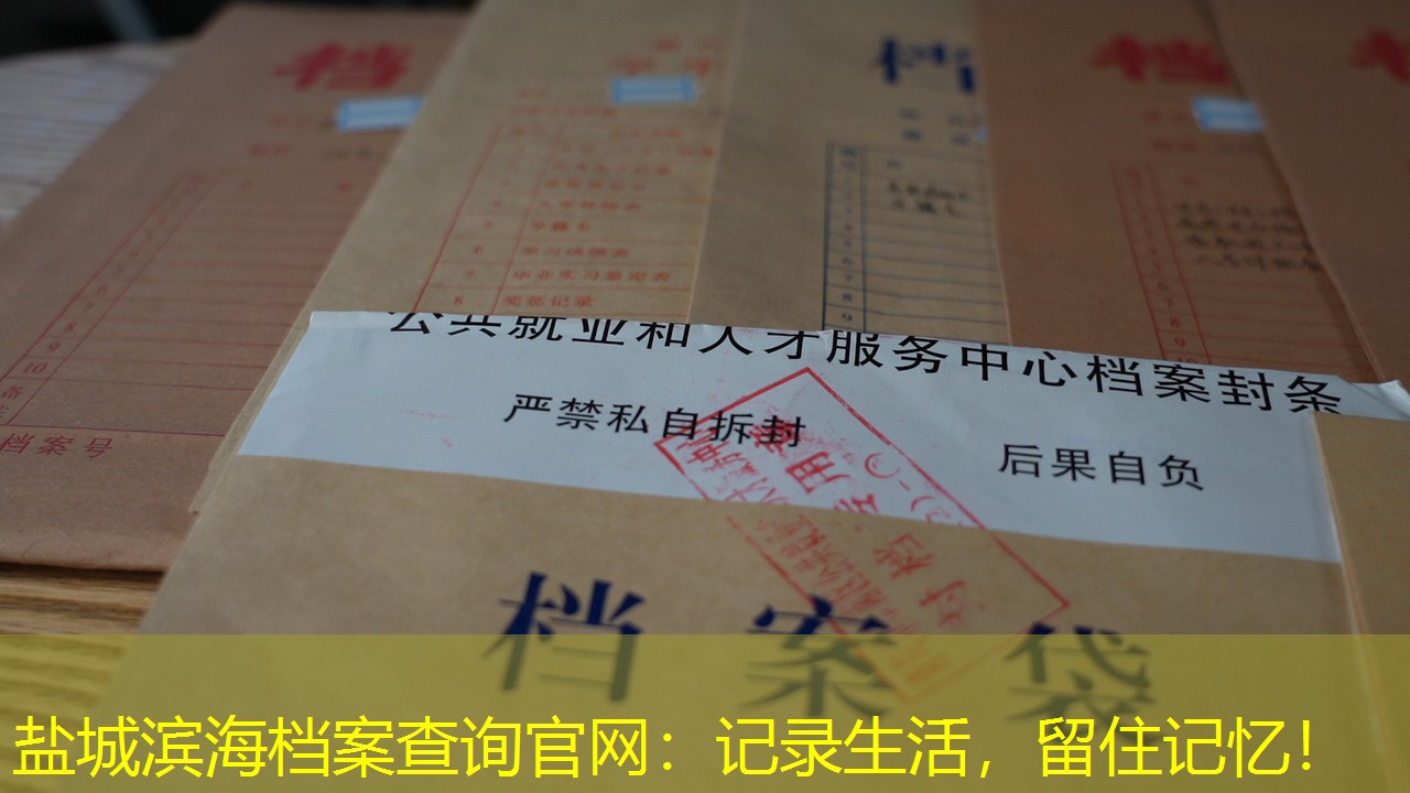 档案查询