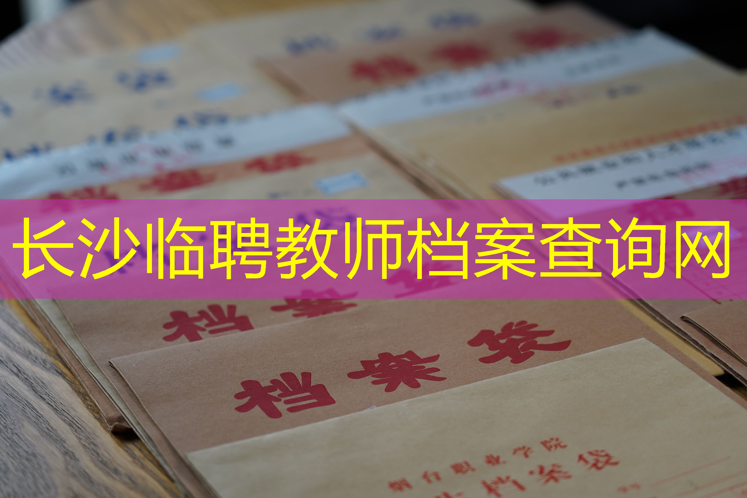 档案查询