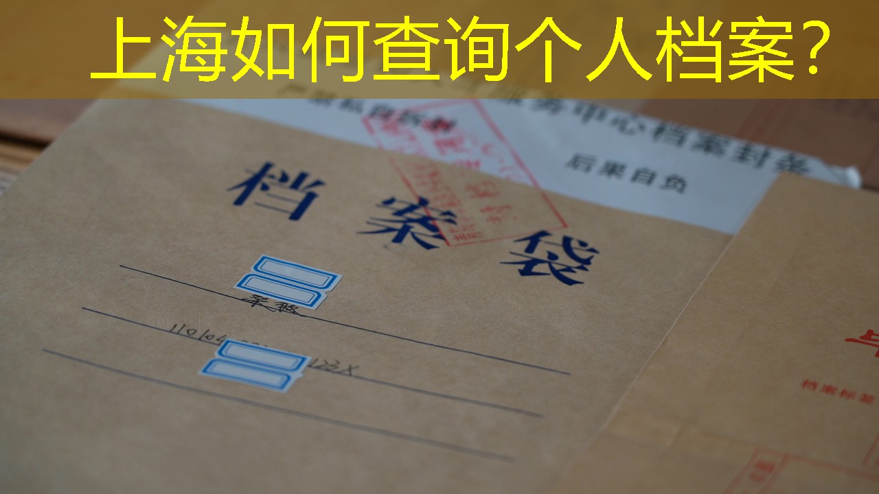 档案查询