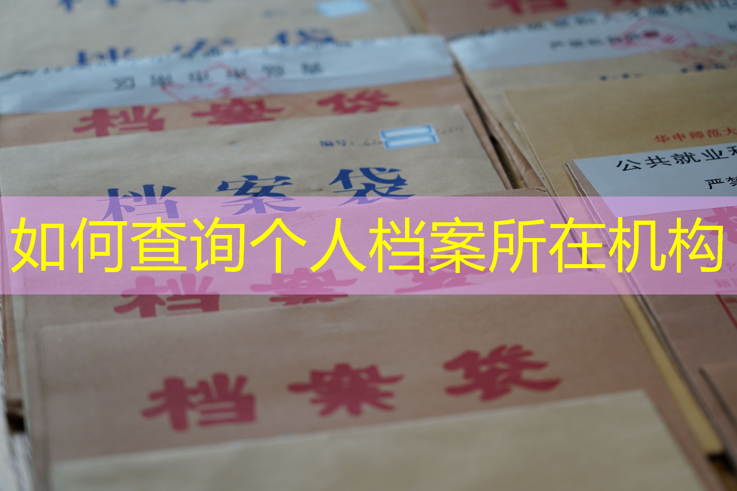 档案查询