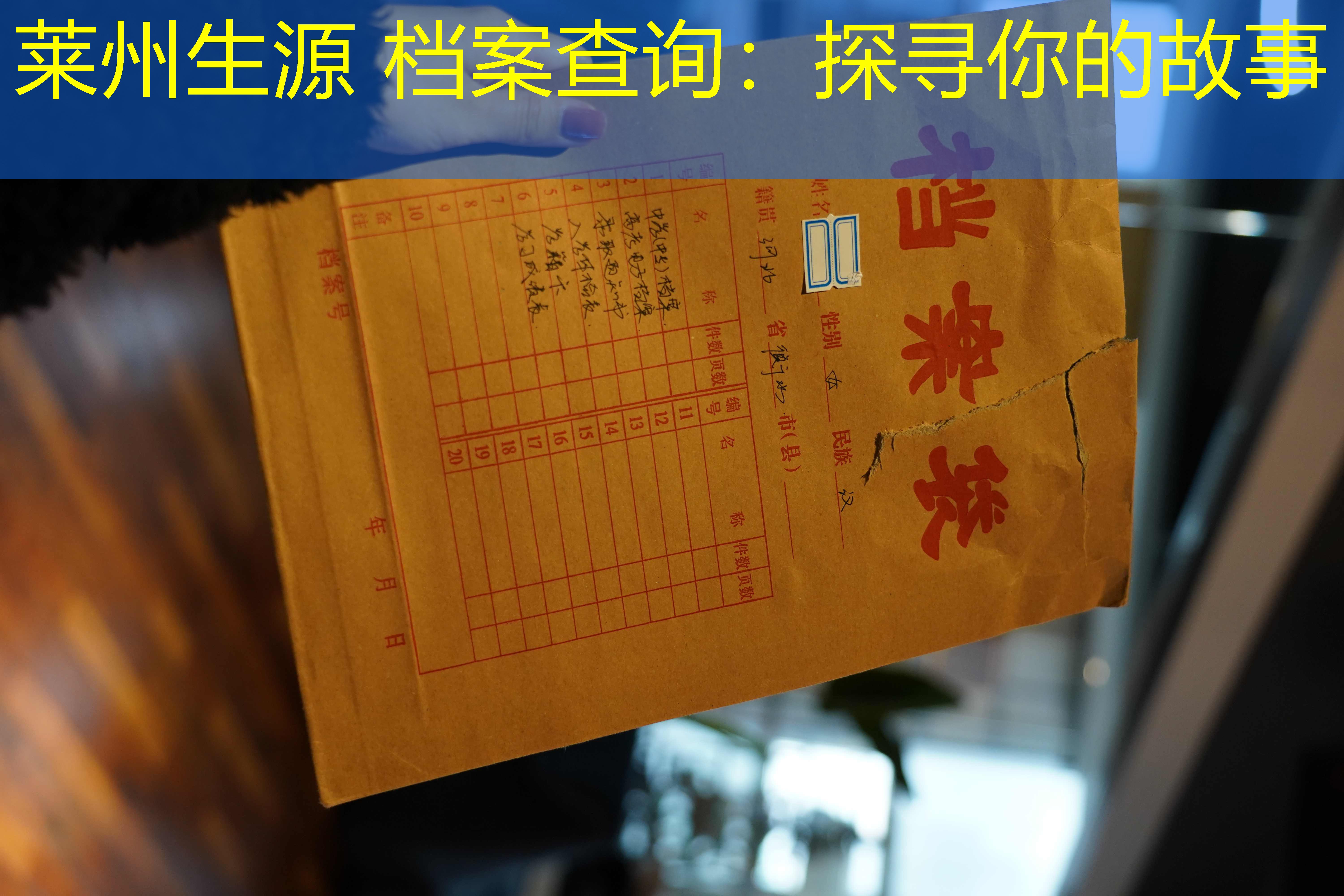 档案查询