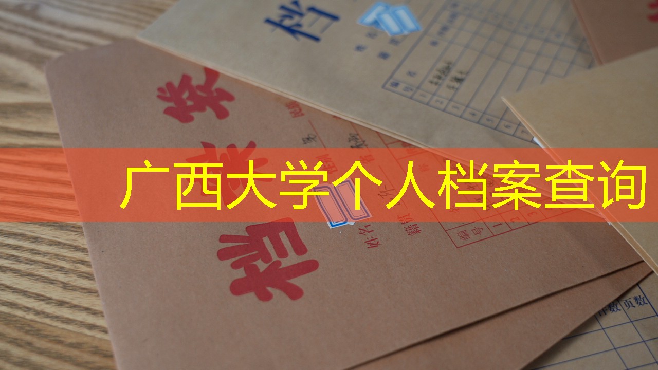 档案查询