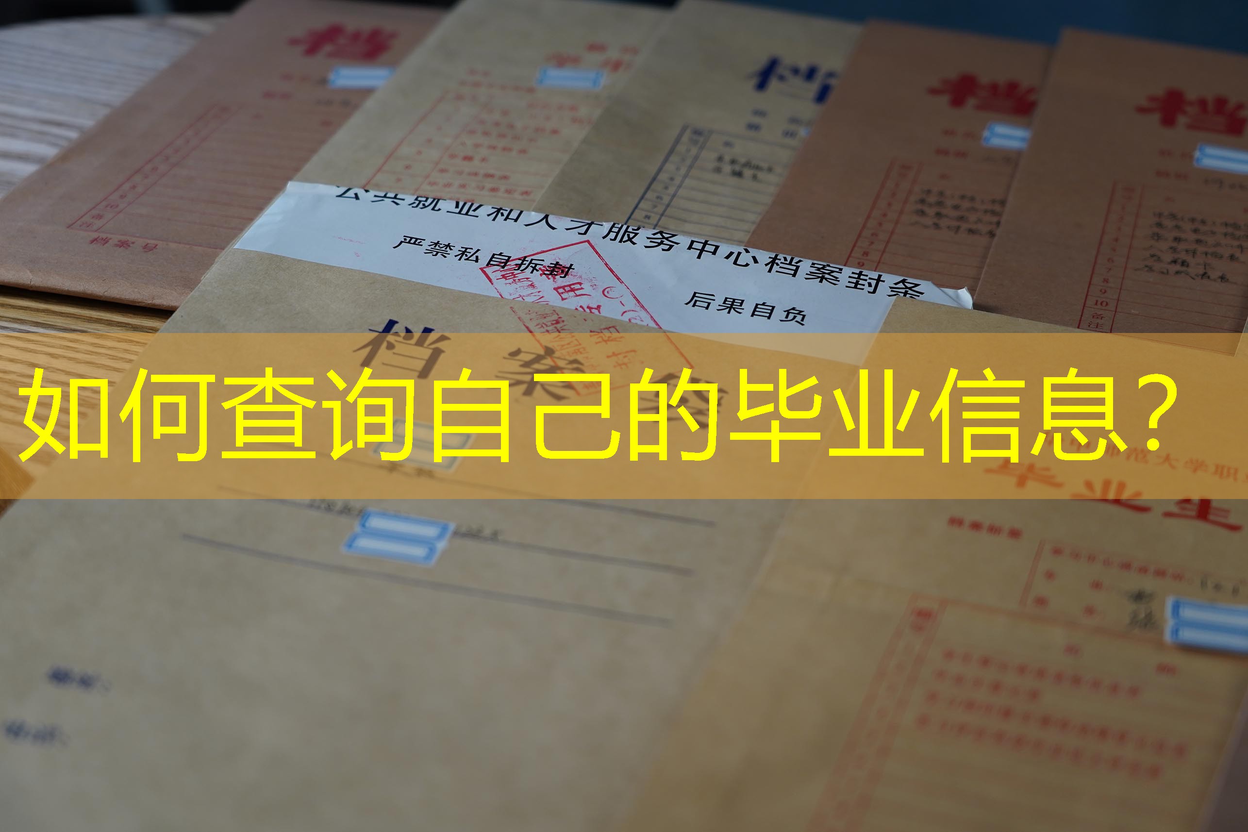 档案查询