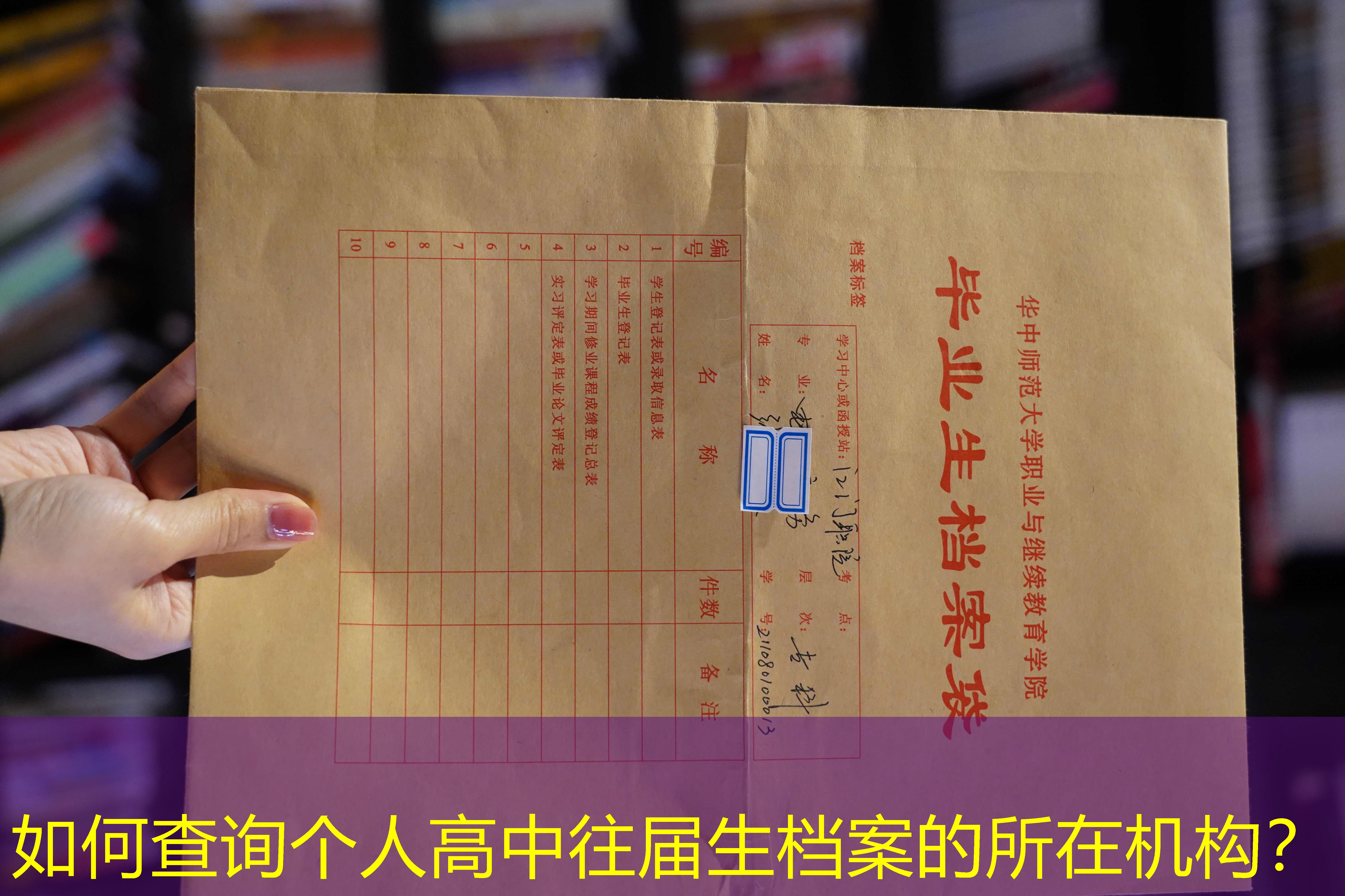 档案查询