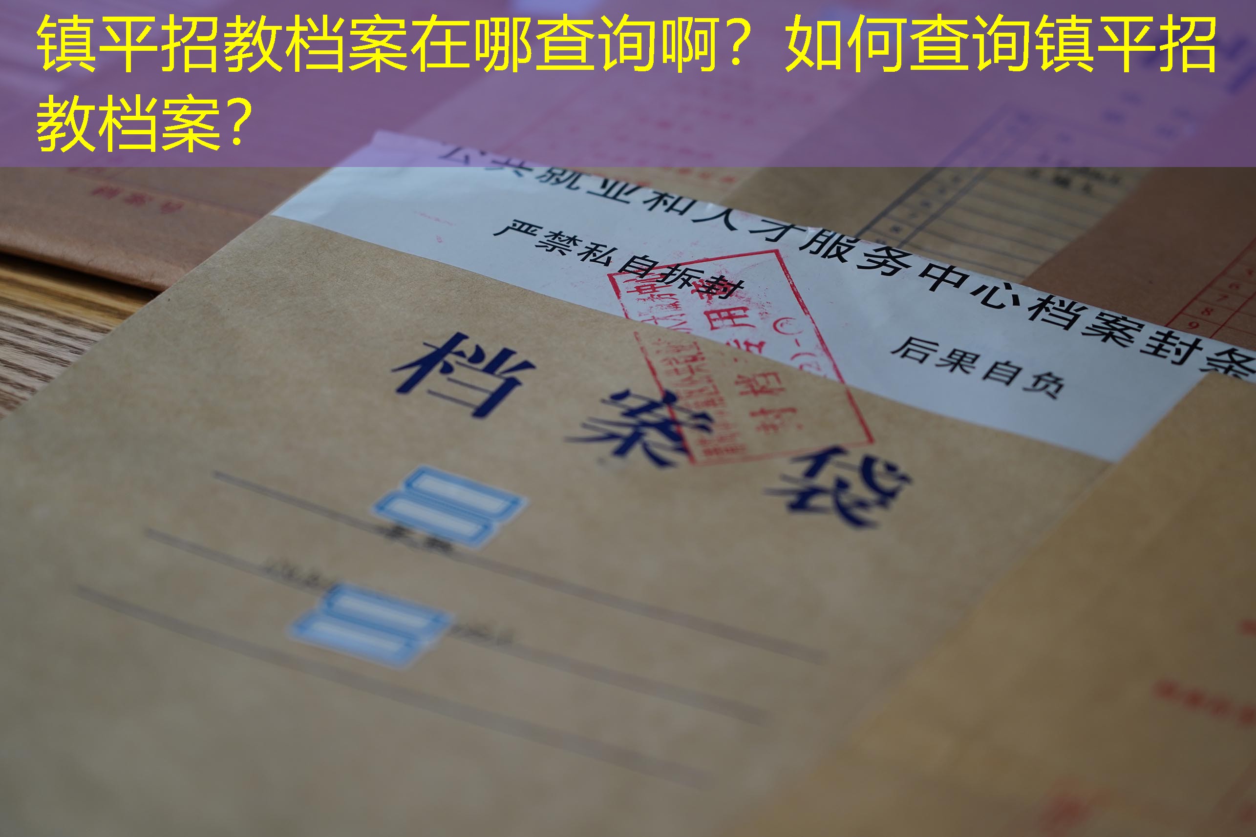 档案查询