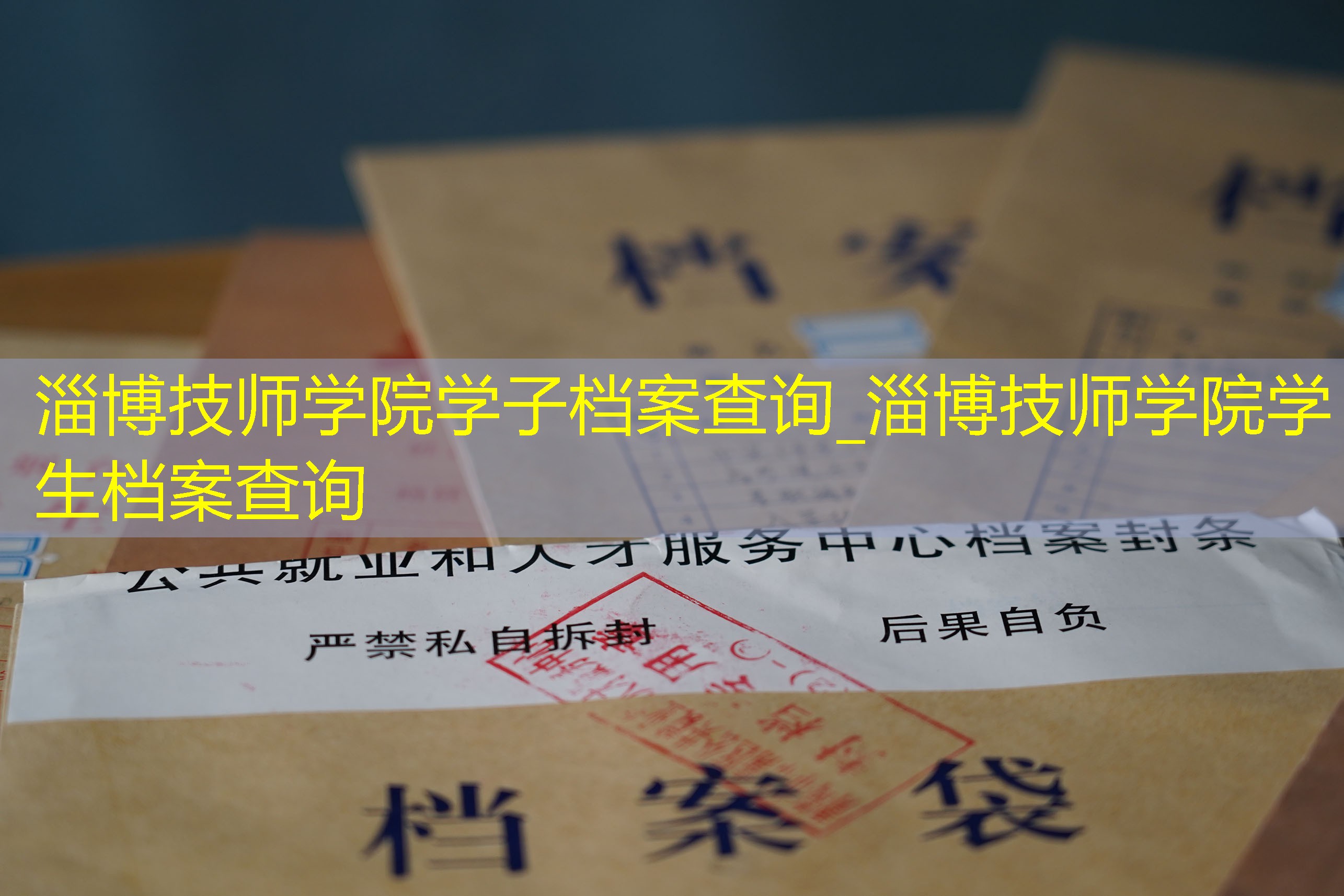 档案查询