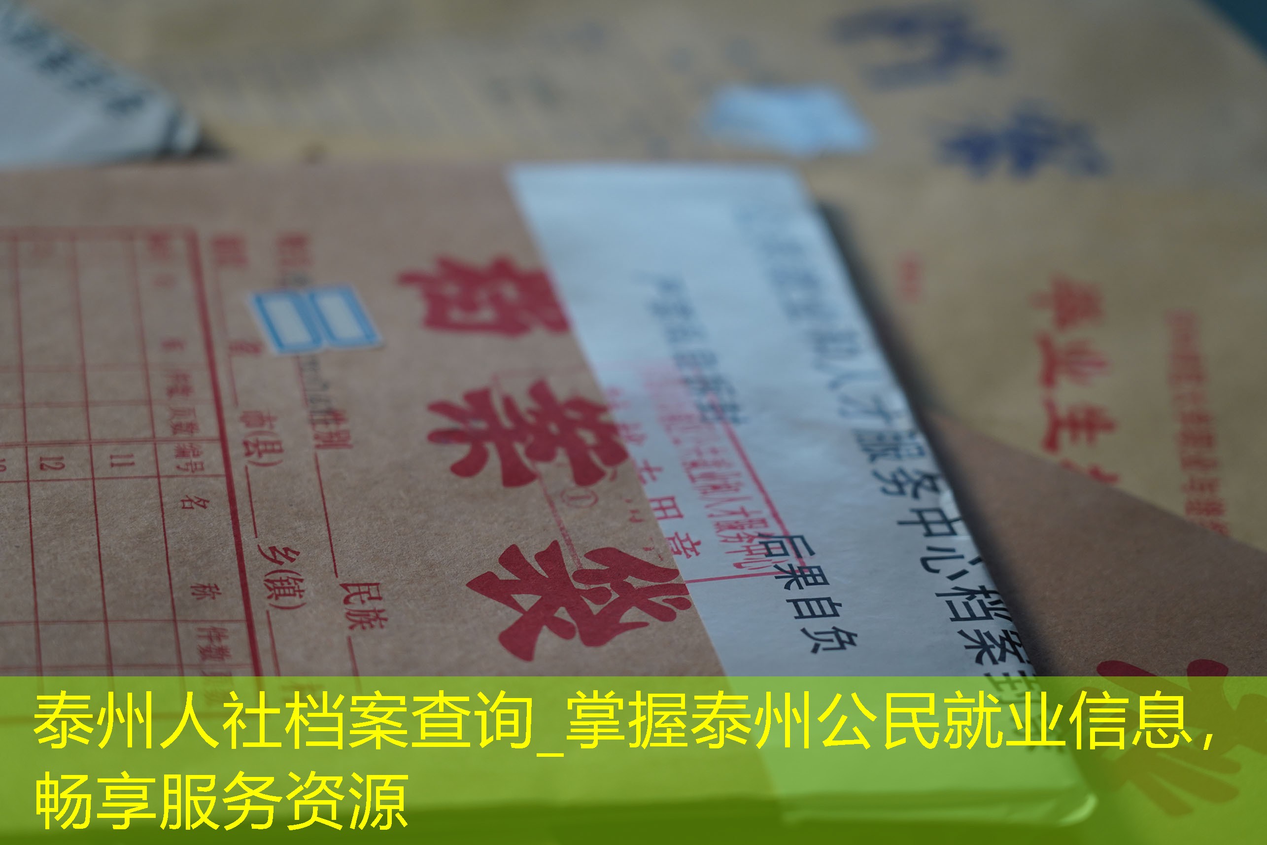 档案查询