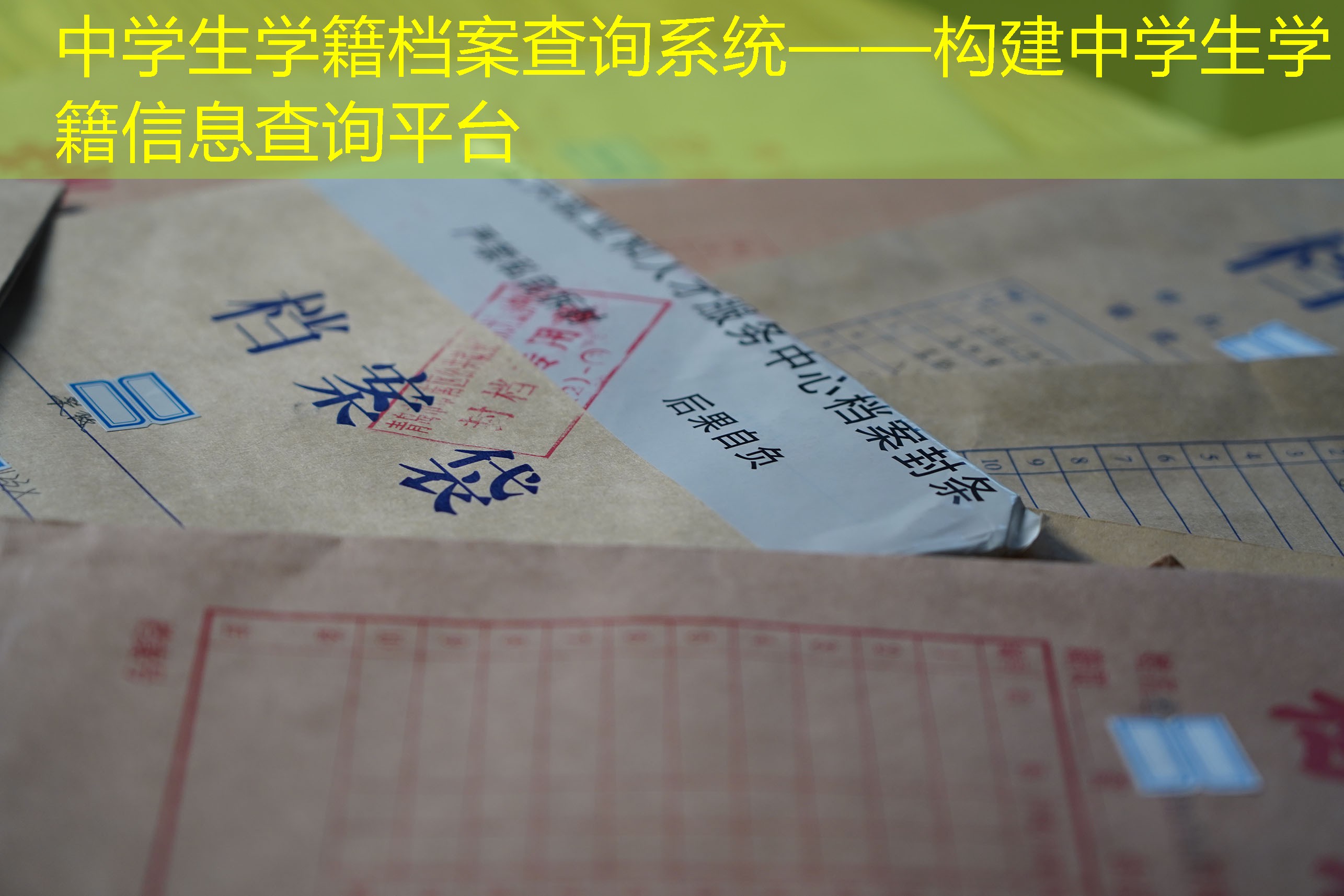 档案查询