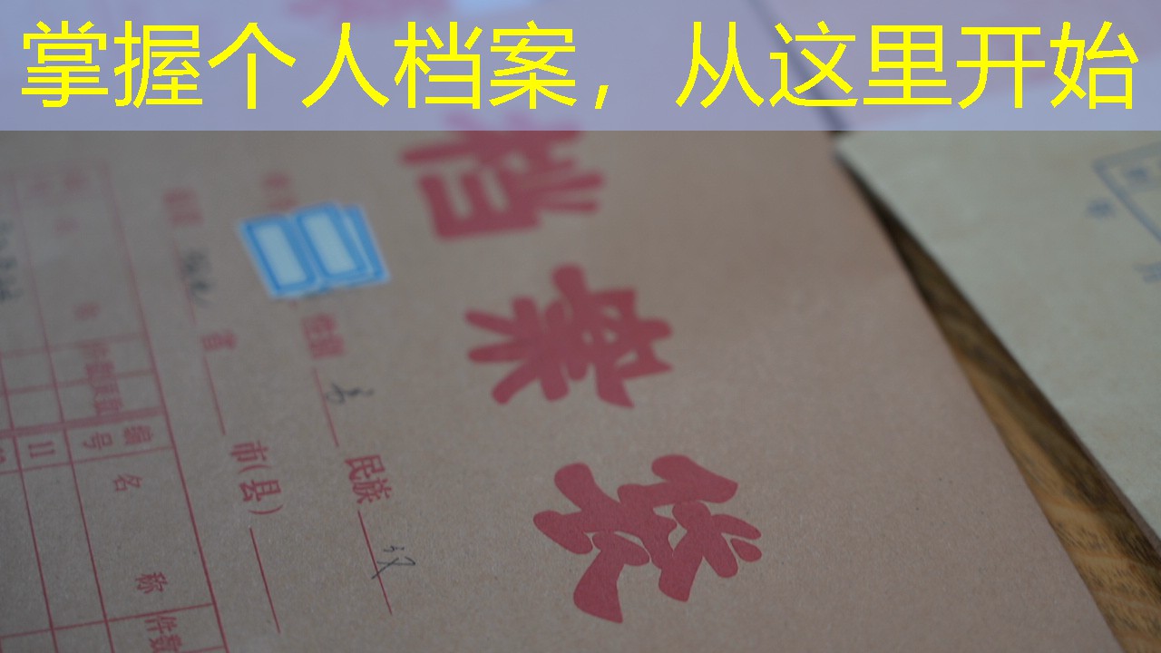 档案查询