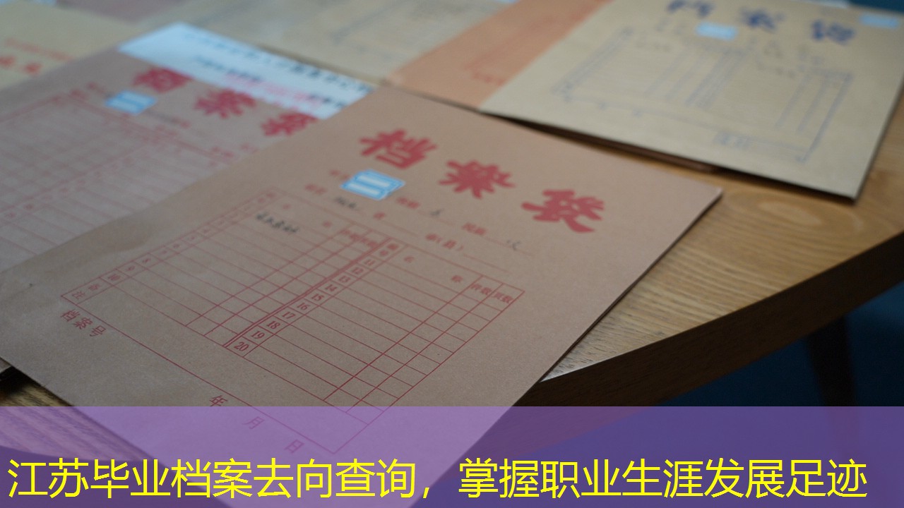 档案查询