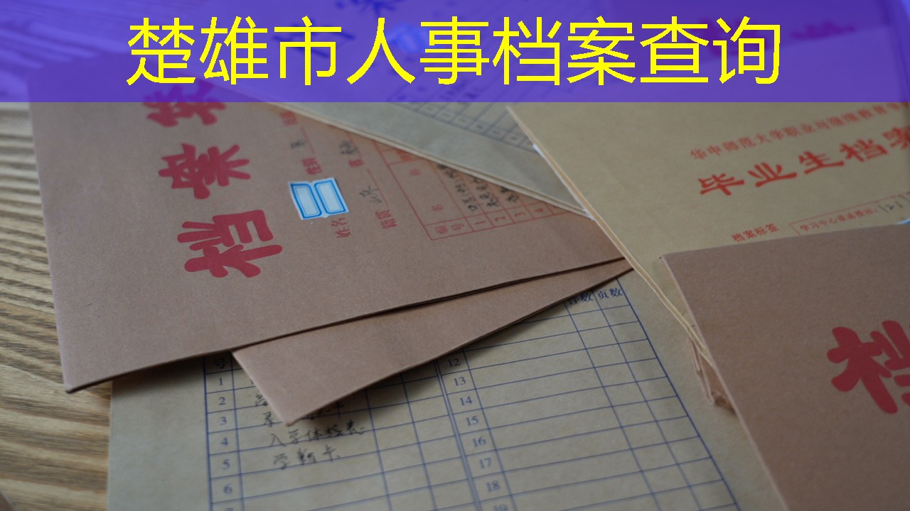 档案查询