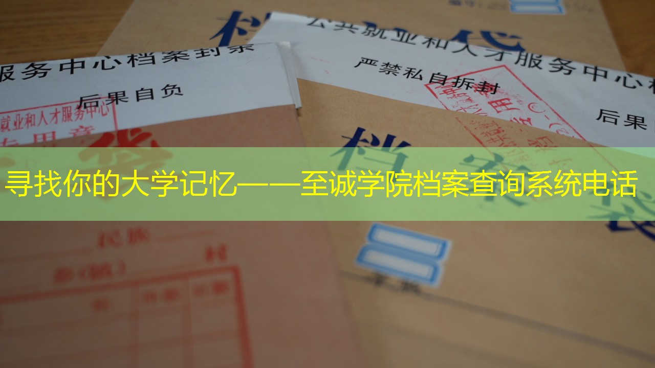 档案查询