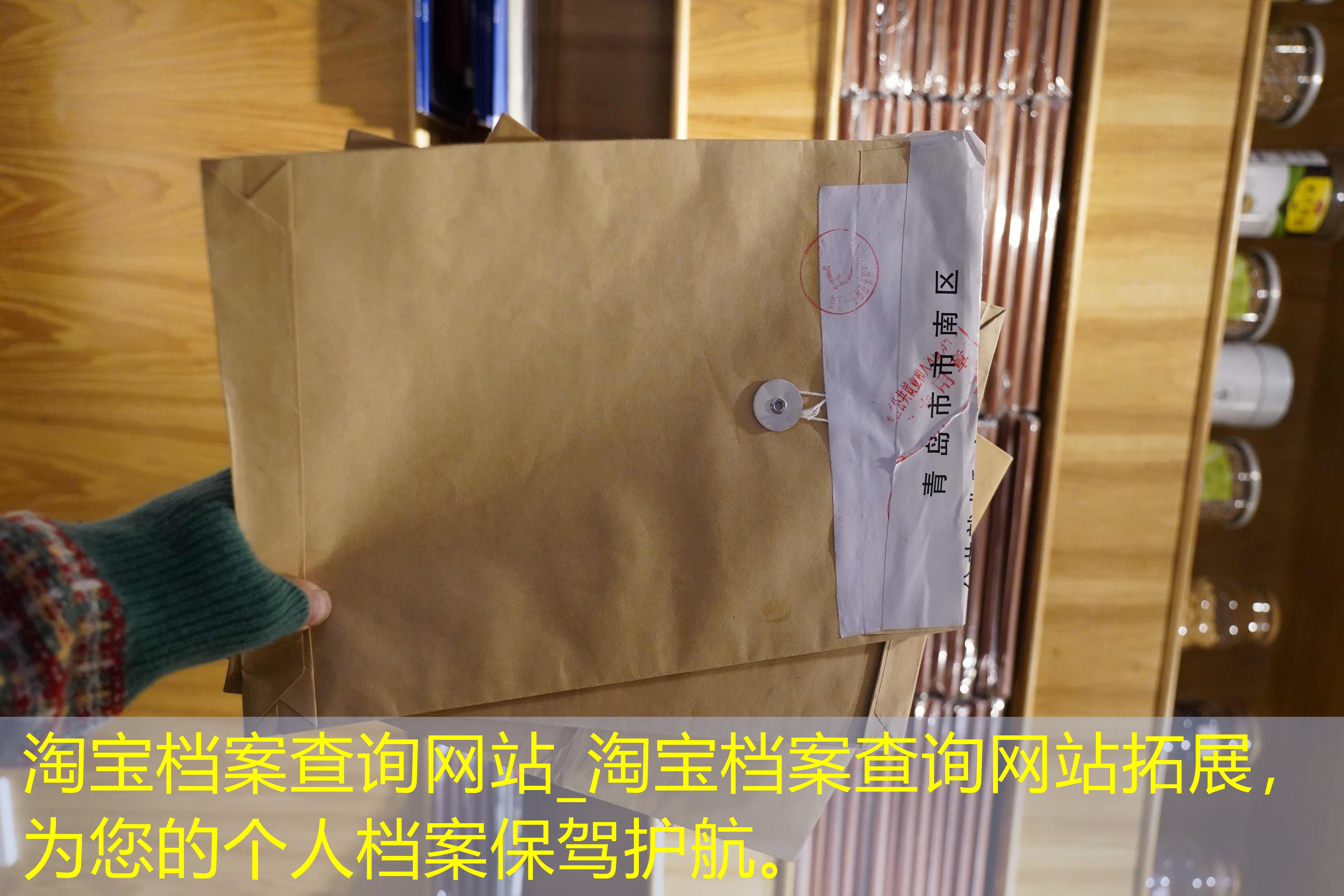档案查询