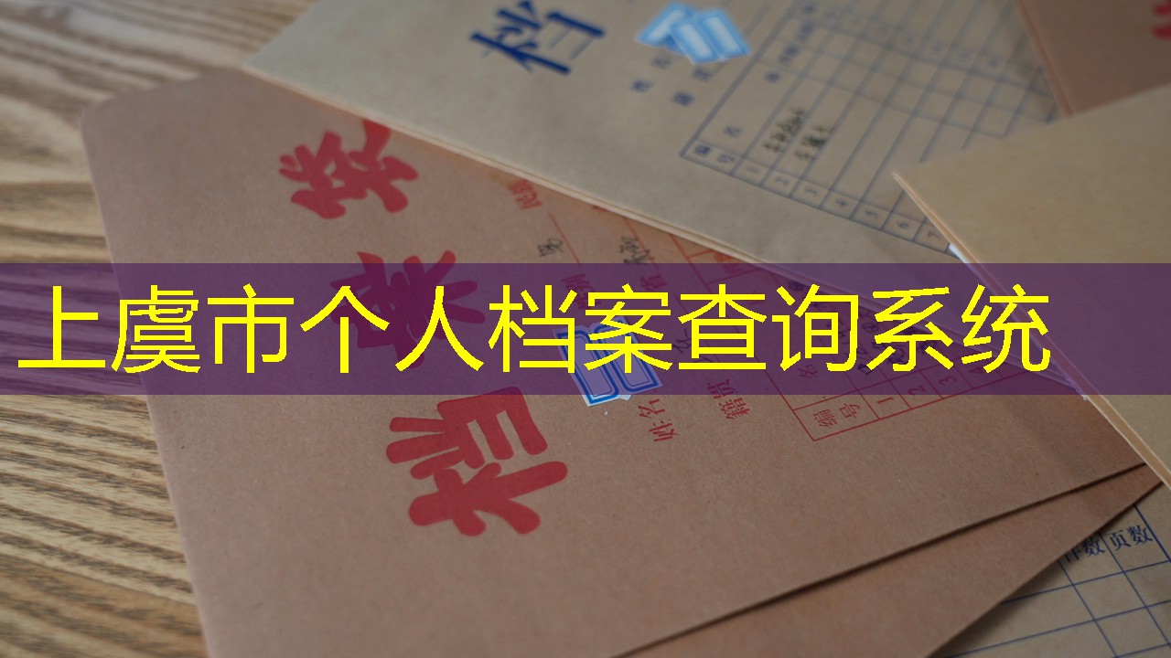 档案查询