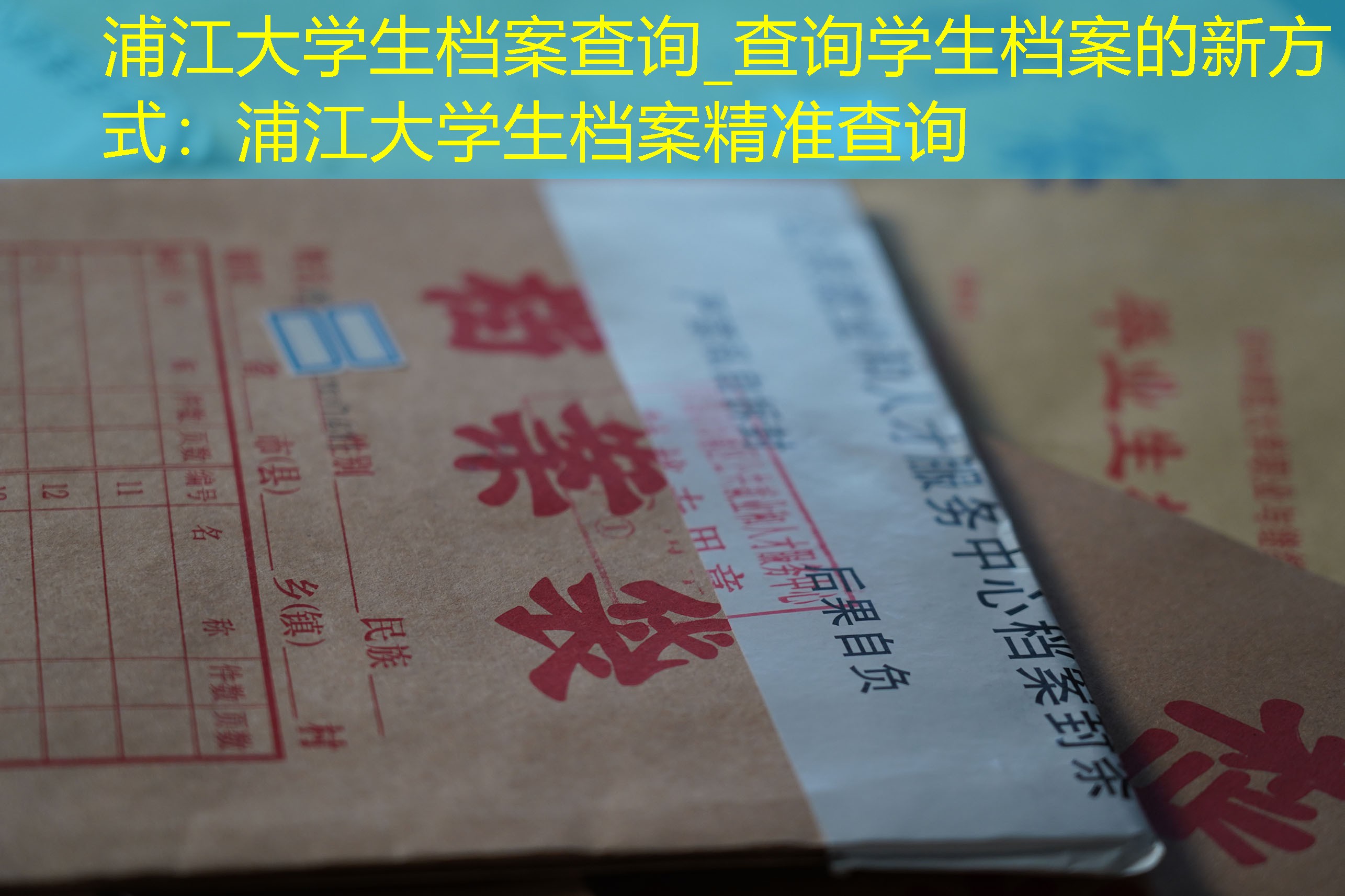 档案查询