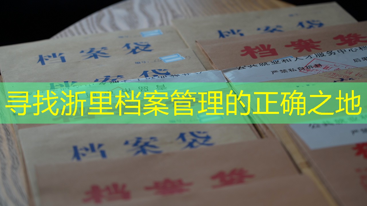 档案查询