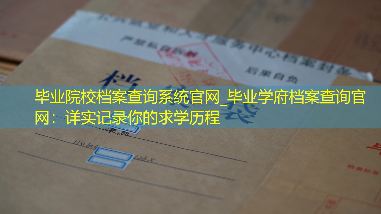 档案查询