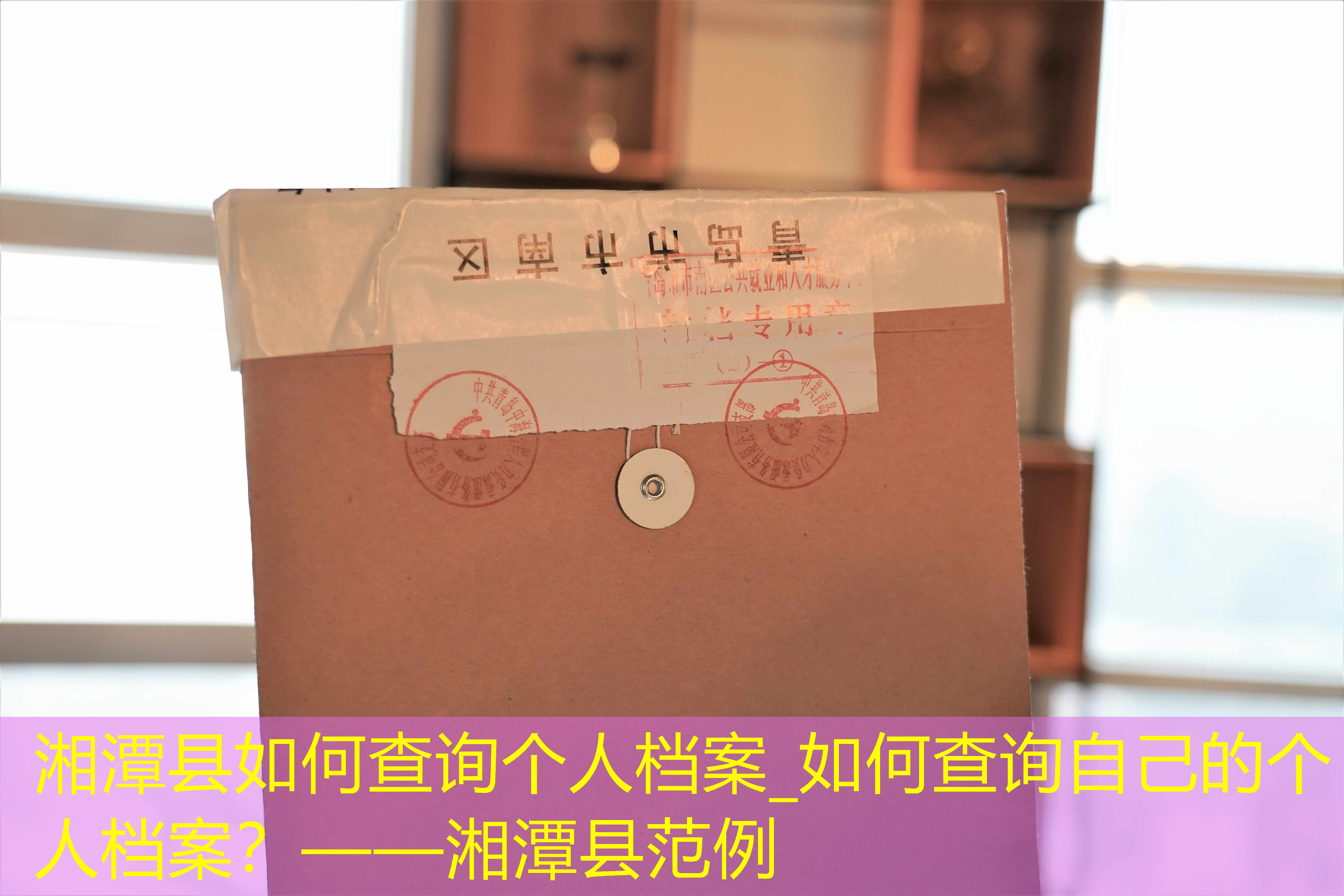 档案查询