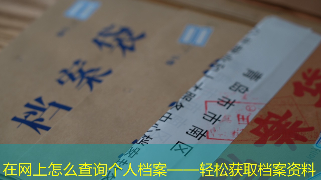 档案查询