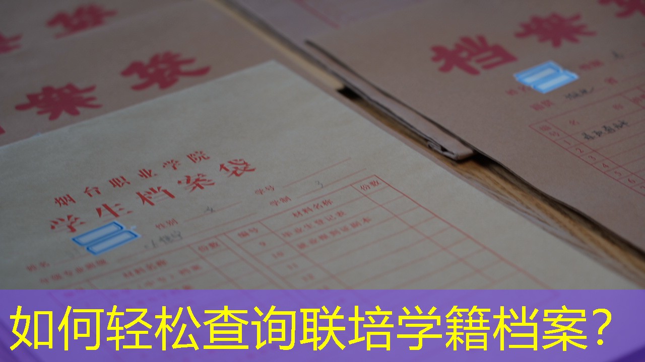 档案查询