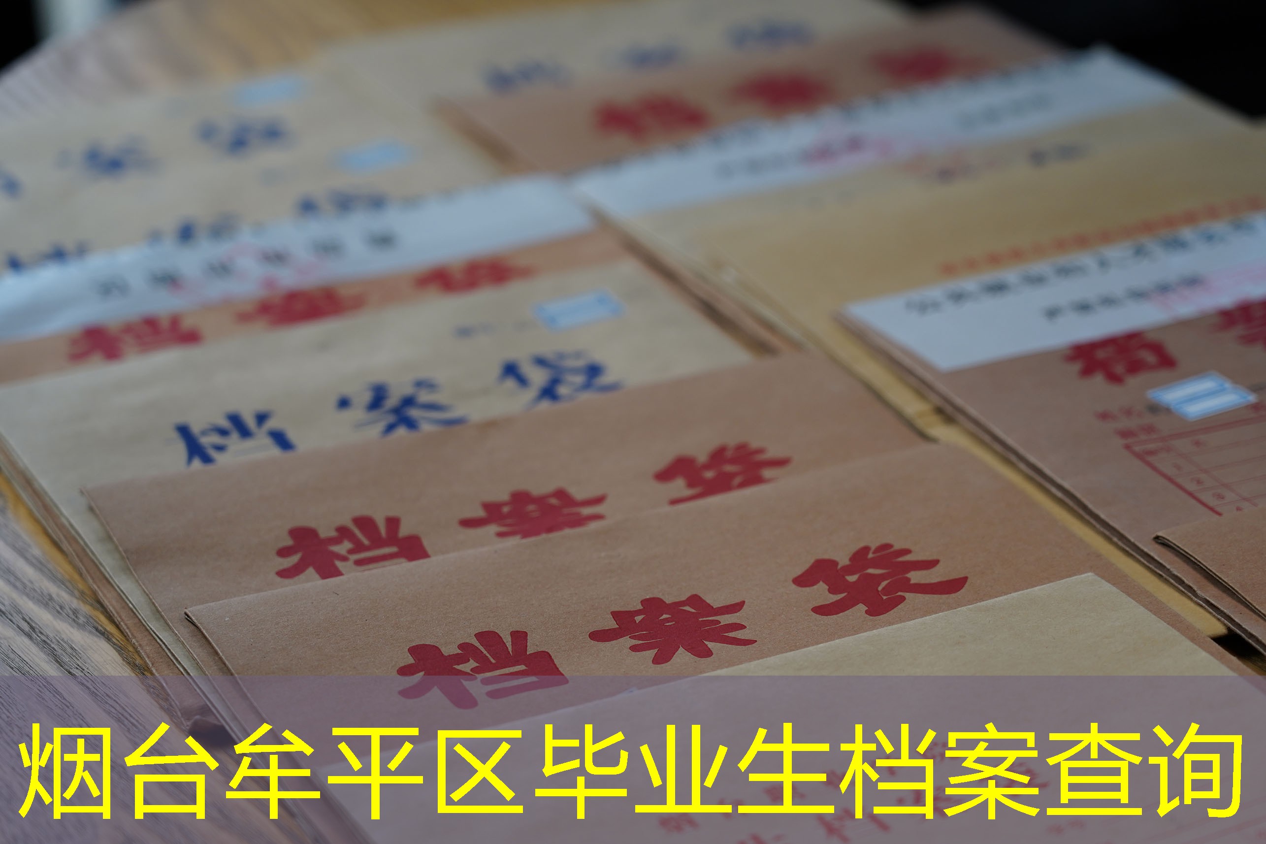 档案查询