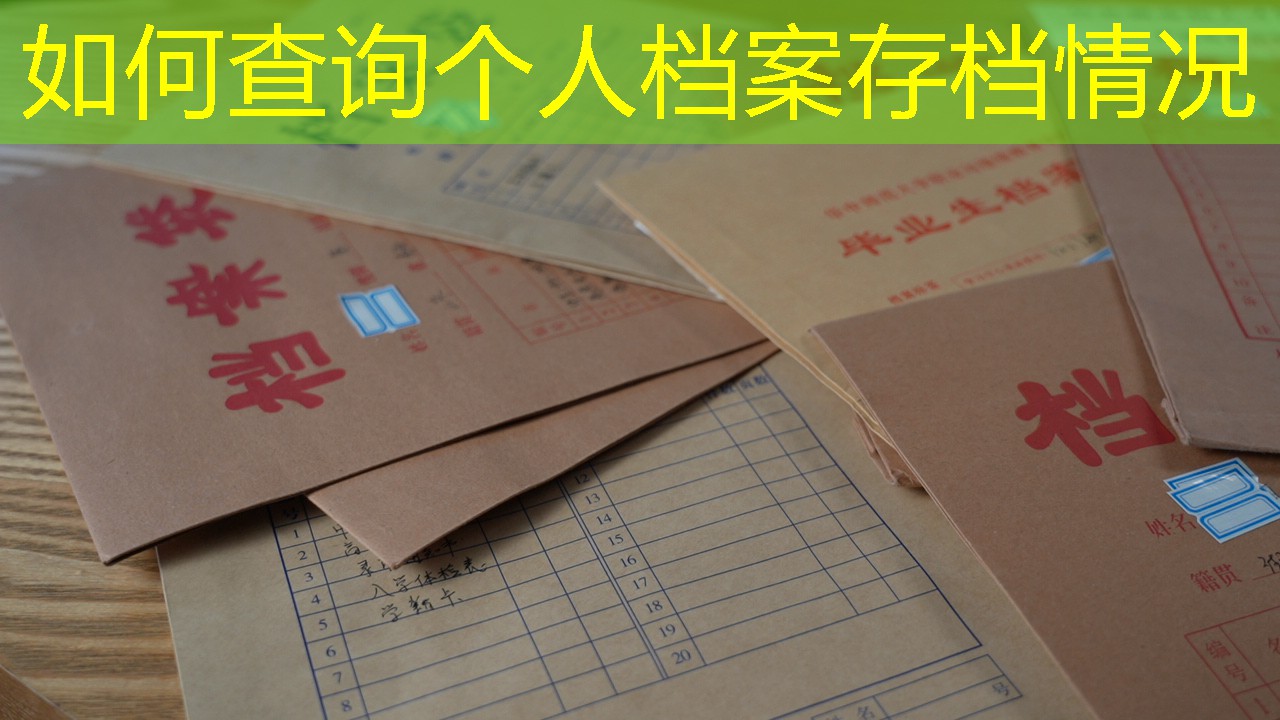 档案查询