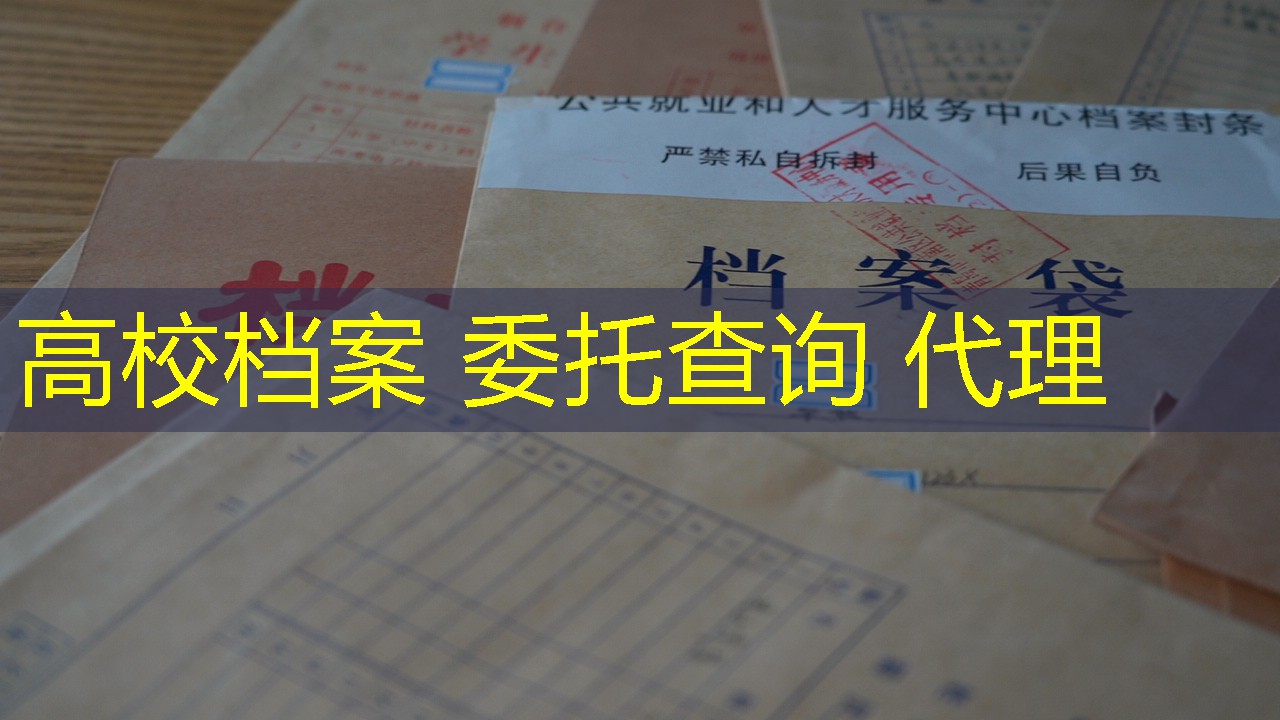 档案查询