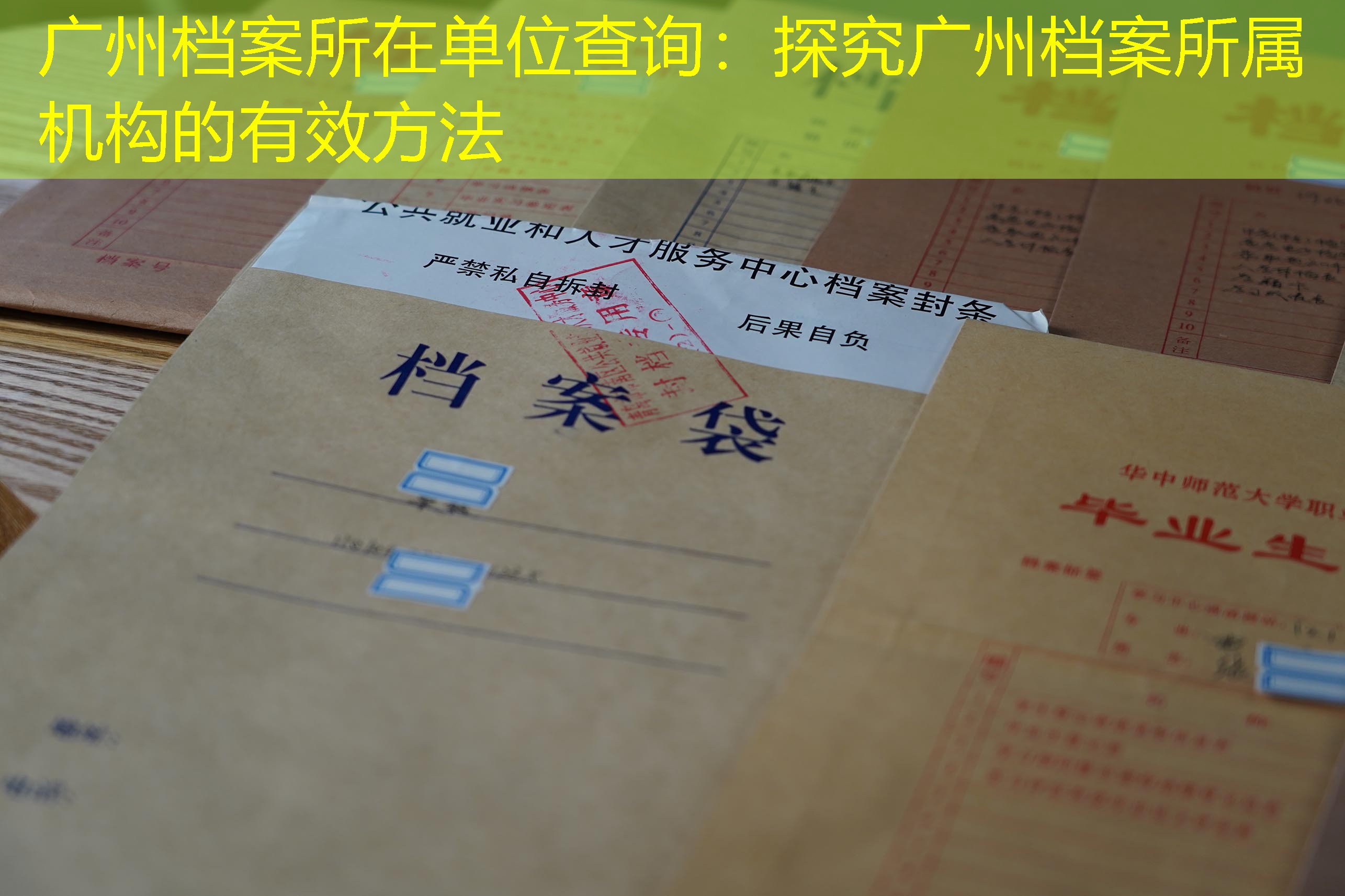 档案查询