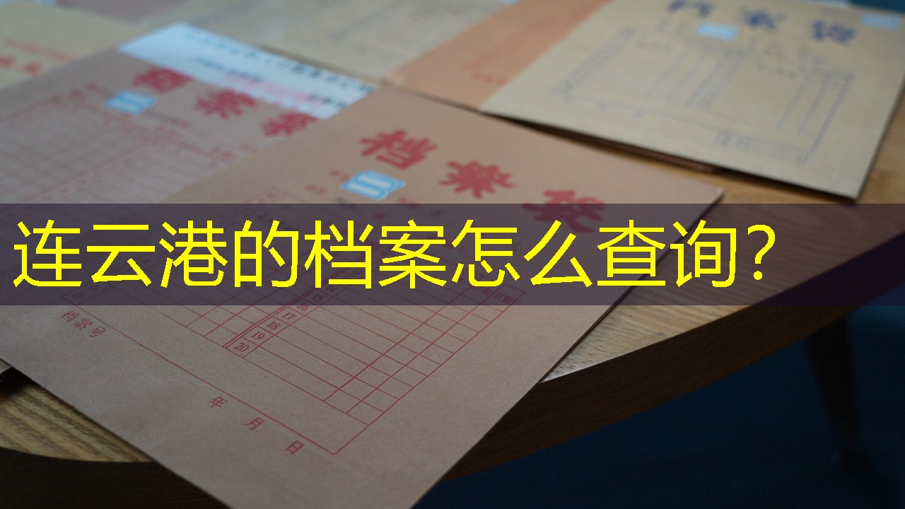档案查询