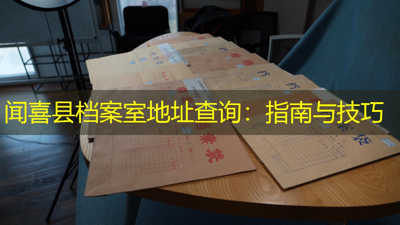 档案查询