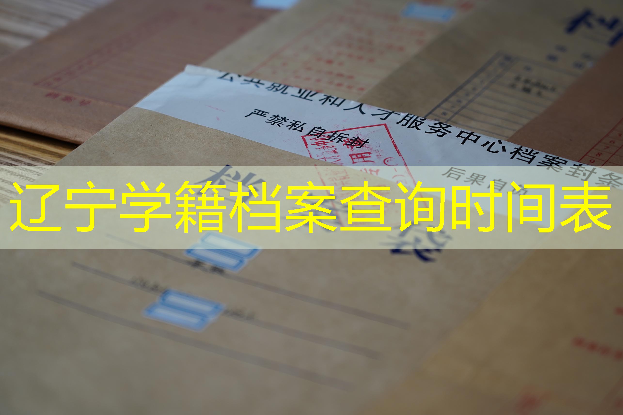 档案查询