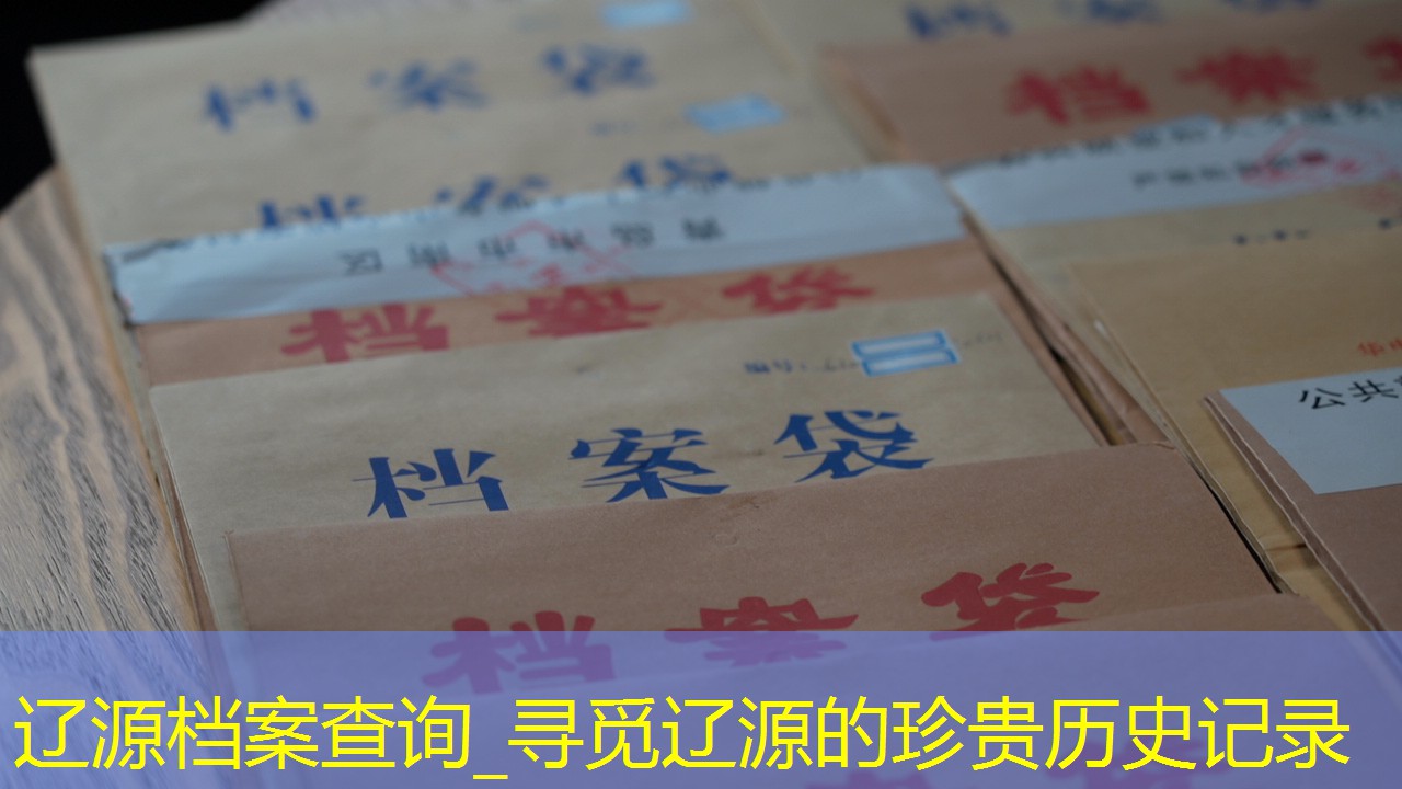档案查询